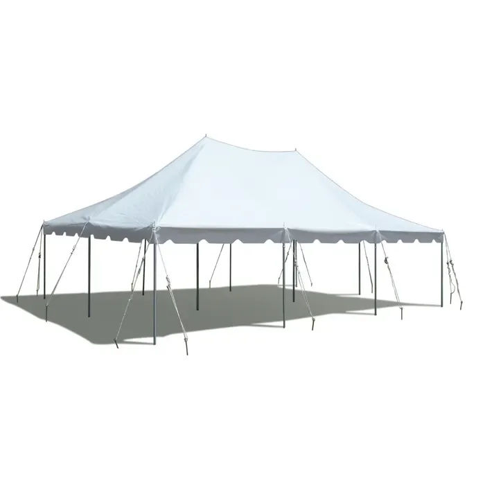 20' x 30' Party Tent