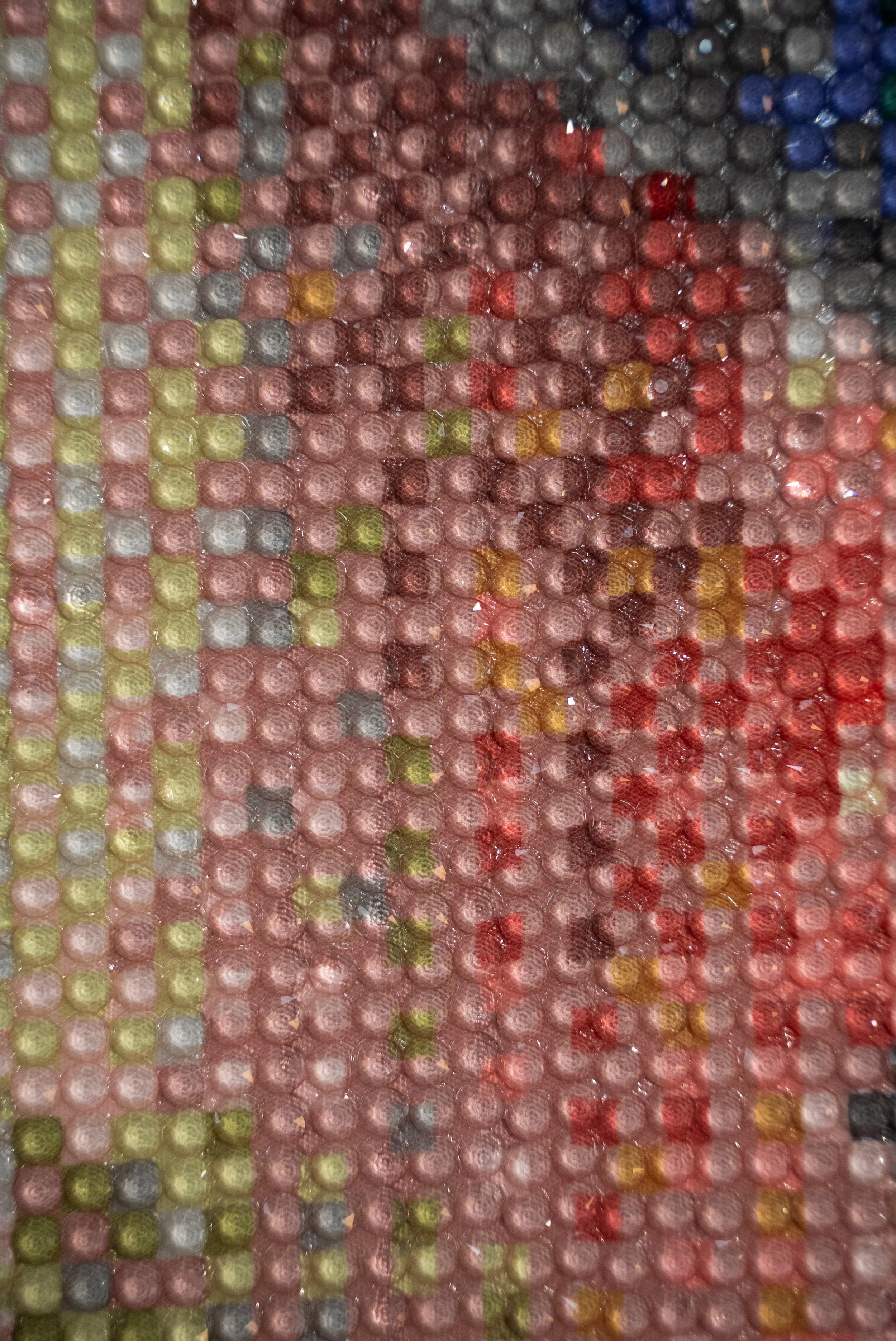 DSC01825.jpg