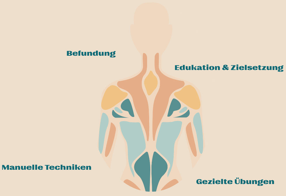 Infografik zum Ablauf der Therapie bei Johanna Freynschlag: Von der ersten Befundung über die Zielsetzung bis hin zu manuellen Techniken und gezielten Übungen für Patientinnen und Patienten..