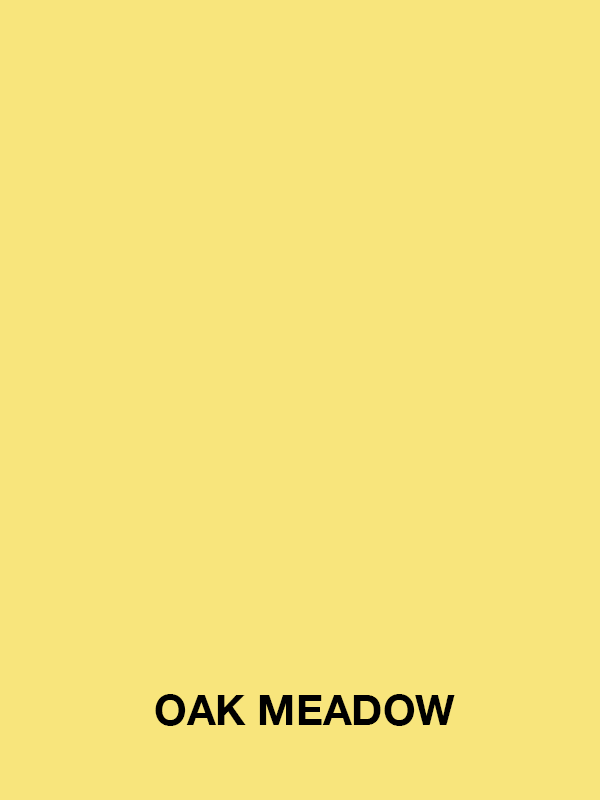 OAKMEADOW_KPS_PASTWORK_TEXTILEDESIGN.png