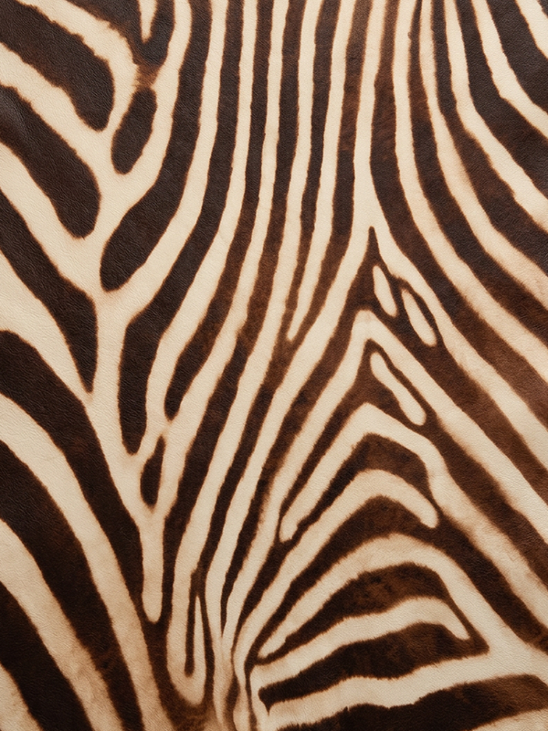 custom-print-design_kps_09.png