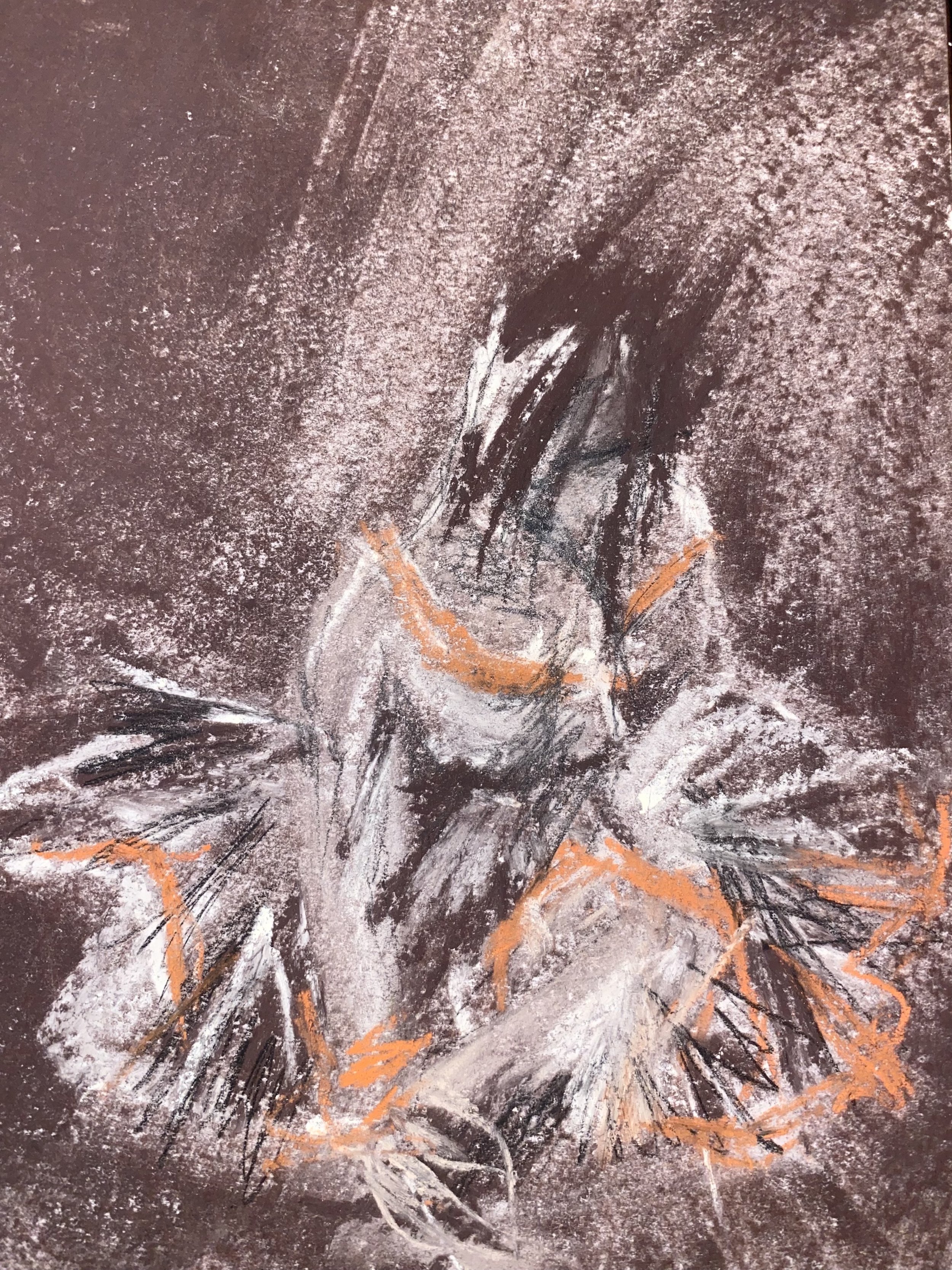 Le ballet des milles et une robes.
