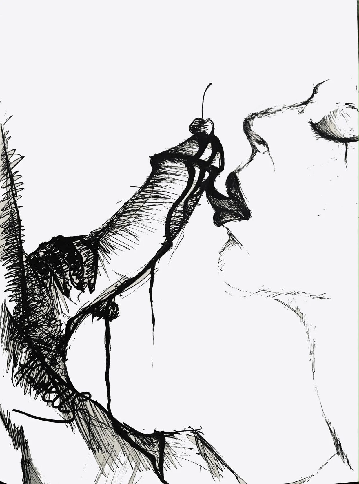 LICK ONE