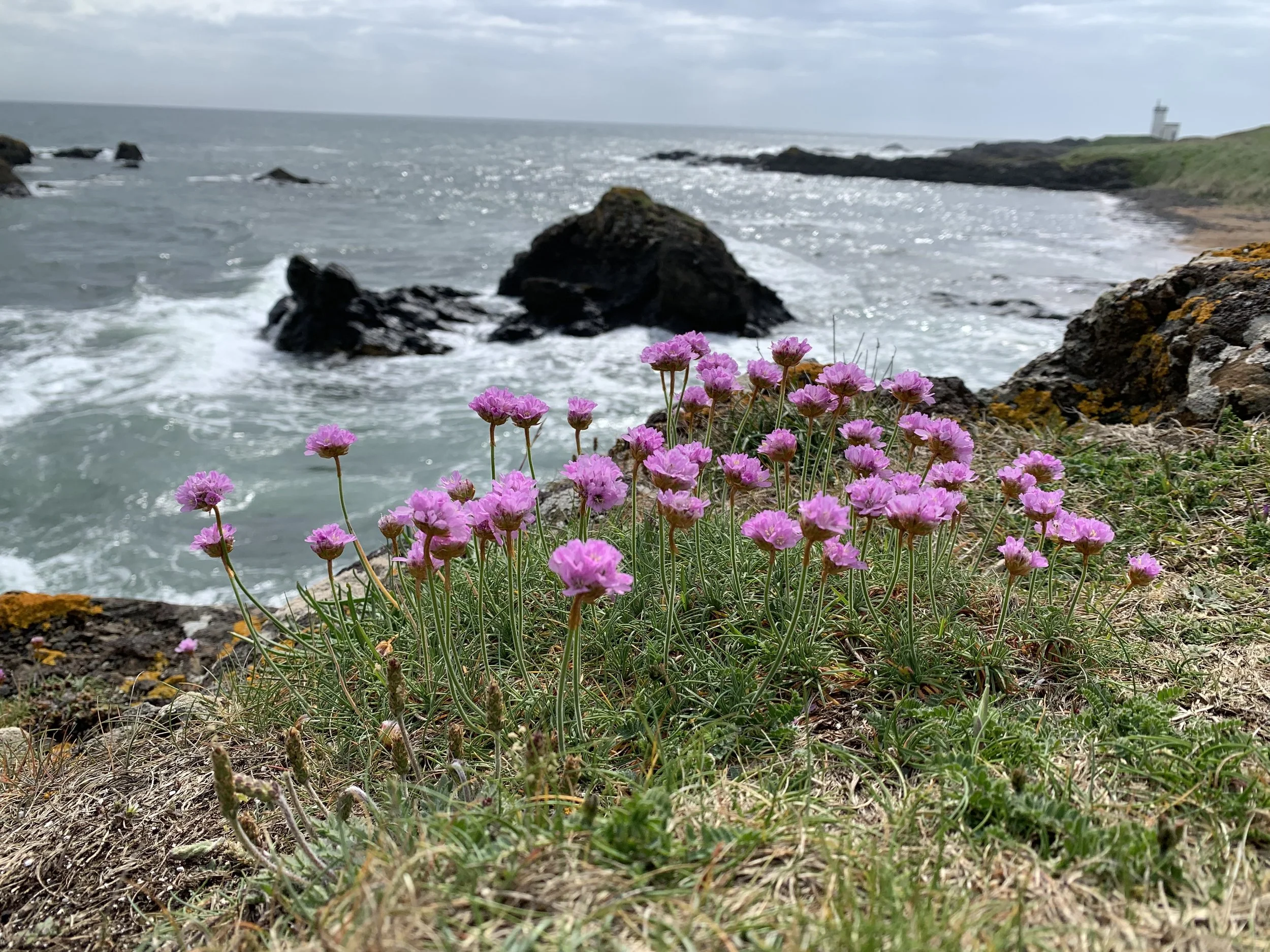 Kingdom of Fife