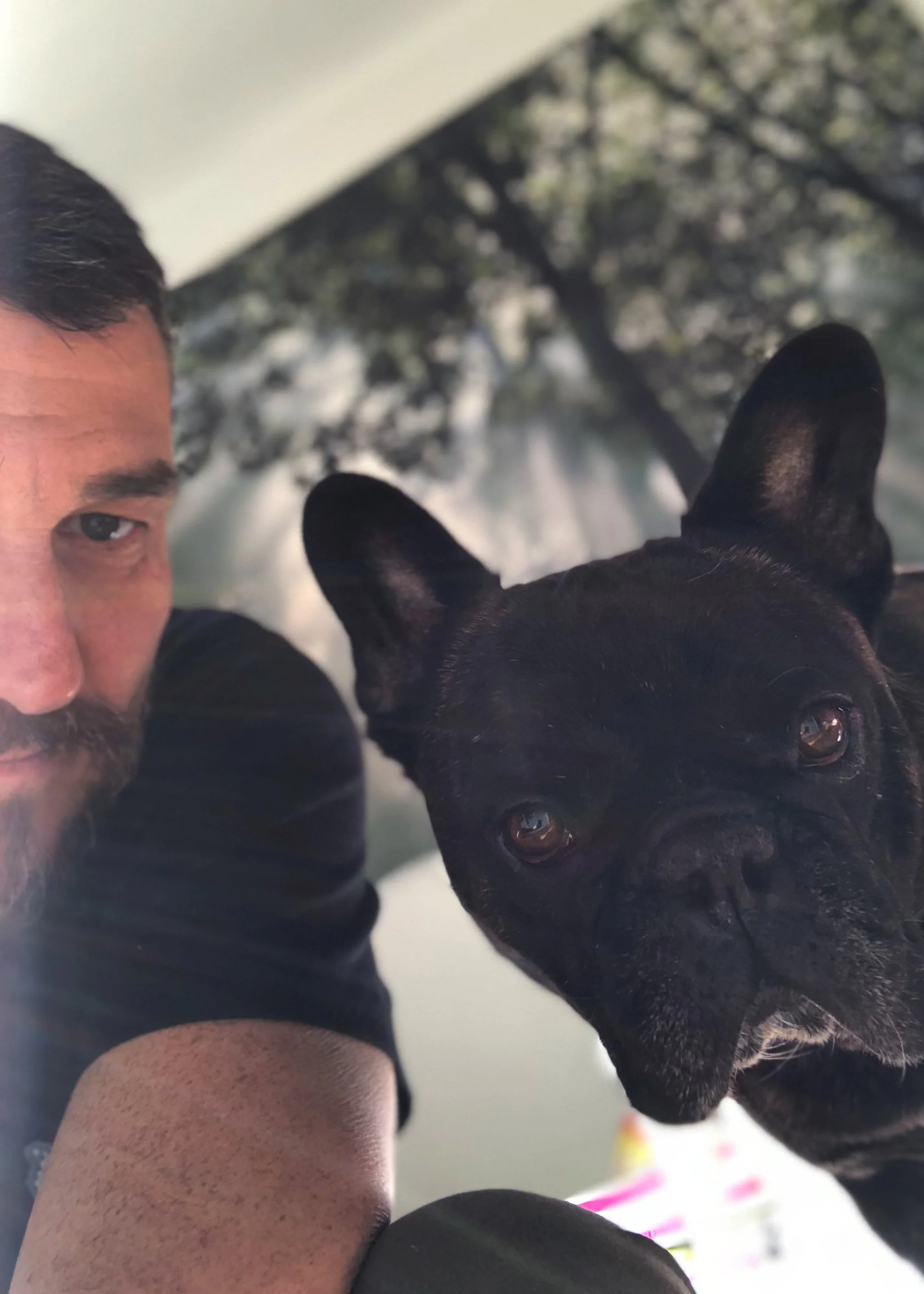 Ein Mann und ein französischer Bulldoggen-Hund posieren für ein Selfie, der Mann hat dunkle Haare und trägt einen schwarzen T-Shirt, die Hund hat eine schwarze Fellfarbe und große Ohren, im Hintergrund sind Bäume sichtbar.