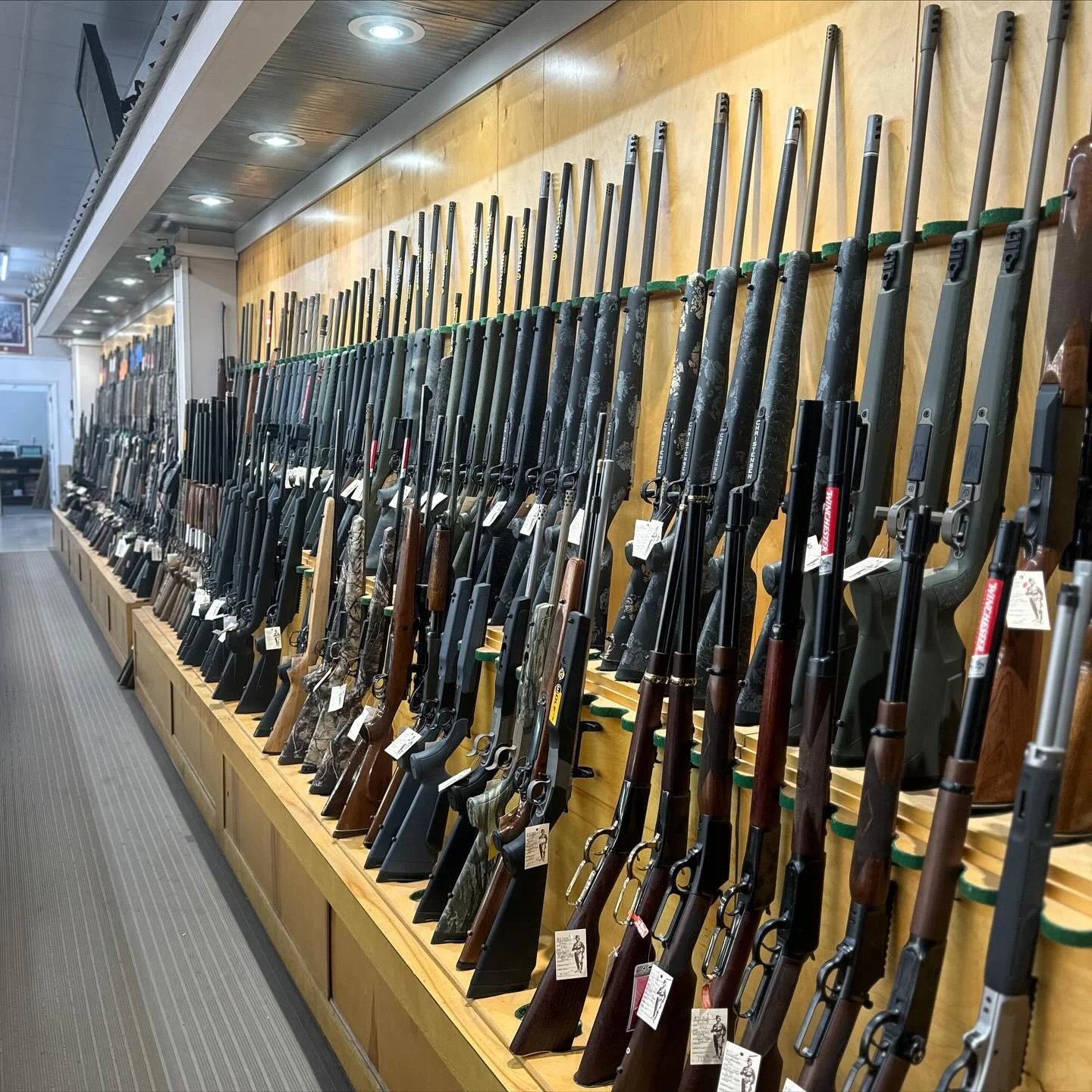 Eve of opening weekend in Alabama!🦌🚨😎 
Come see us!‼️🦌