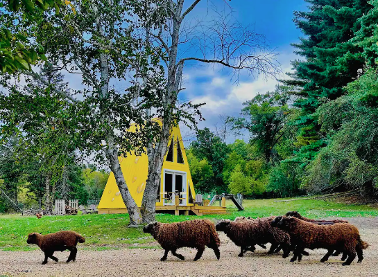 Screenshot 2025-11-05 at 1.54.33 PM.png