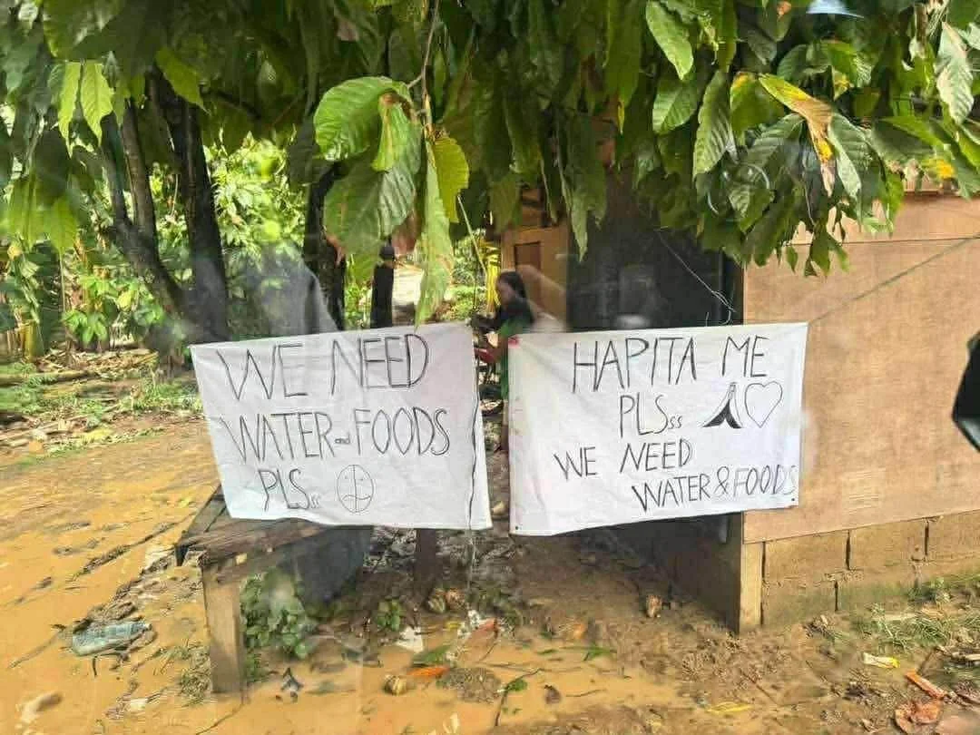 Two handwritten signs hanging in front of a leafy tree, requesting help with water, foods, and marriage. One sign says 'We need water and foods pls' with a circle and plus sign, and the other says 'Hapita me pls,' with a heart and a cross symbol, and 'We need water & foods'.