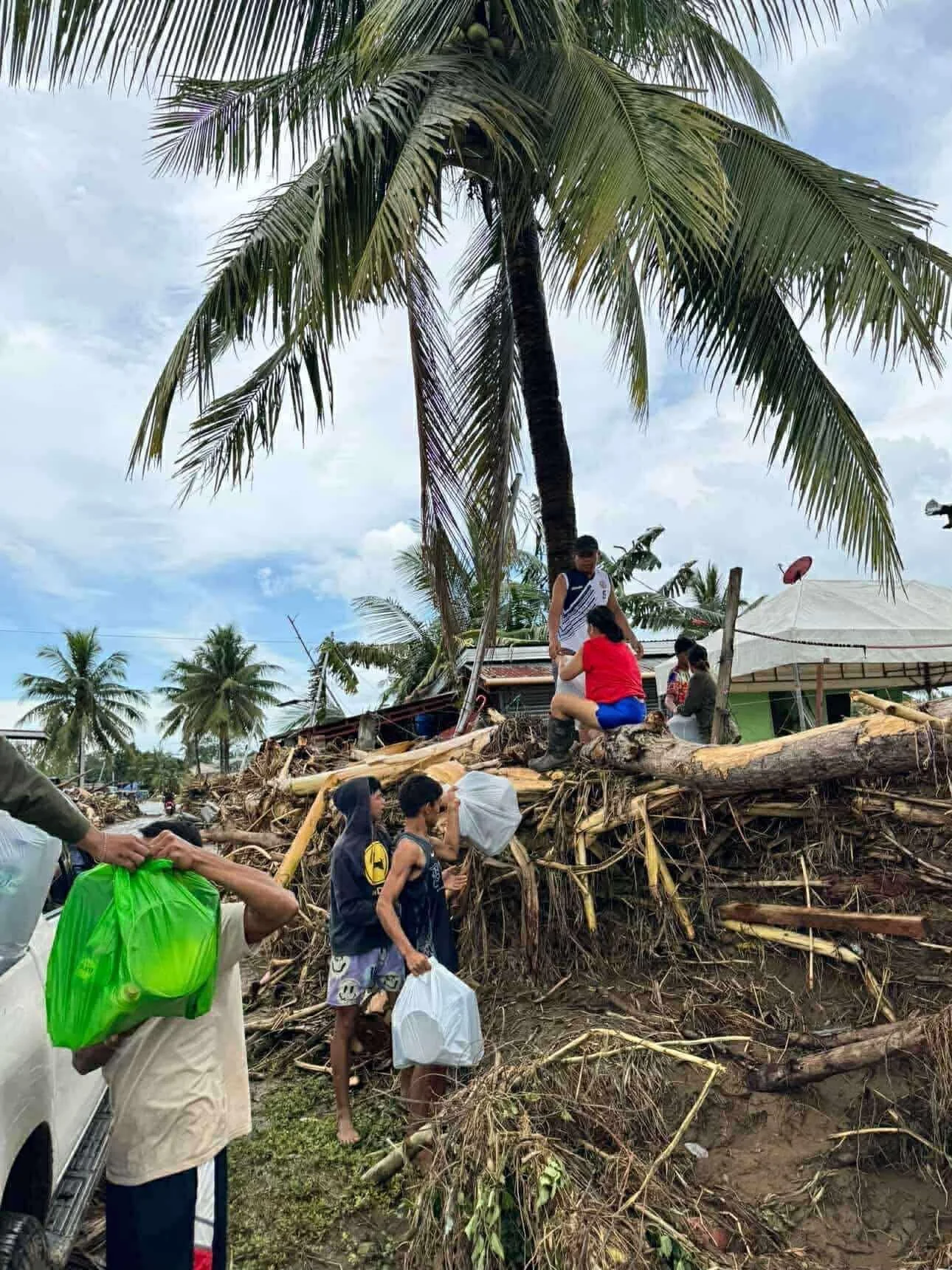 People gathering around a large fallen palm tree that has caused damage, with some people seated on the tree and others standing nearby handing out aid, in a tropical area with more palm trees and some shelters.