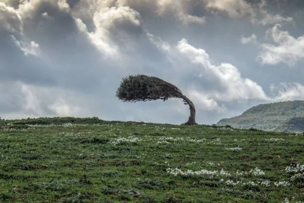 End of Life Coaching