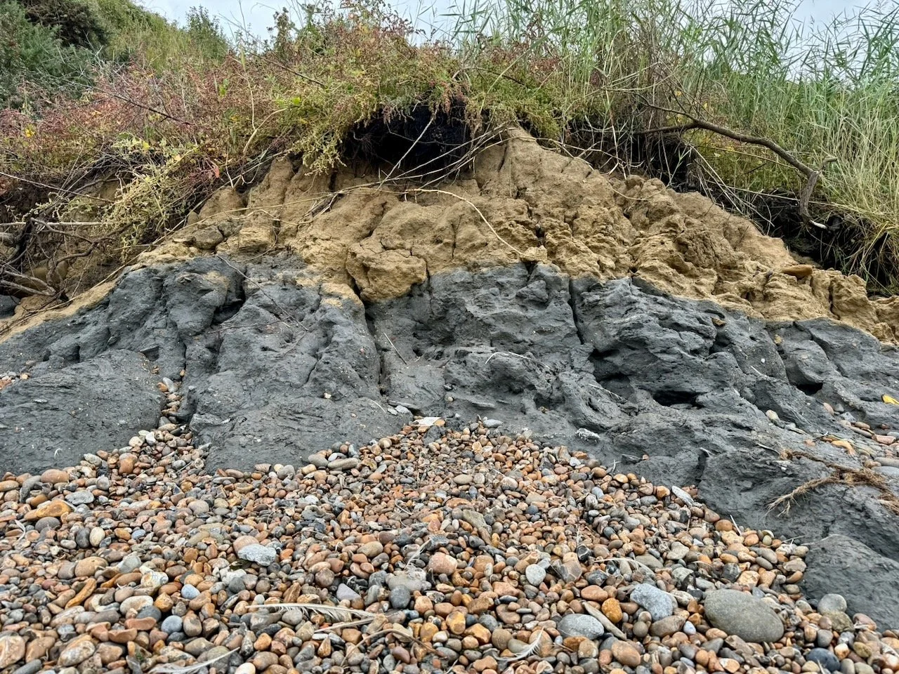 Couche géologique avec des roches noires en bas, des roches brunes en haut et des petits cailloux sur le sol.