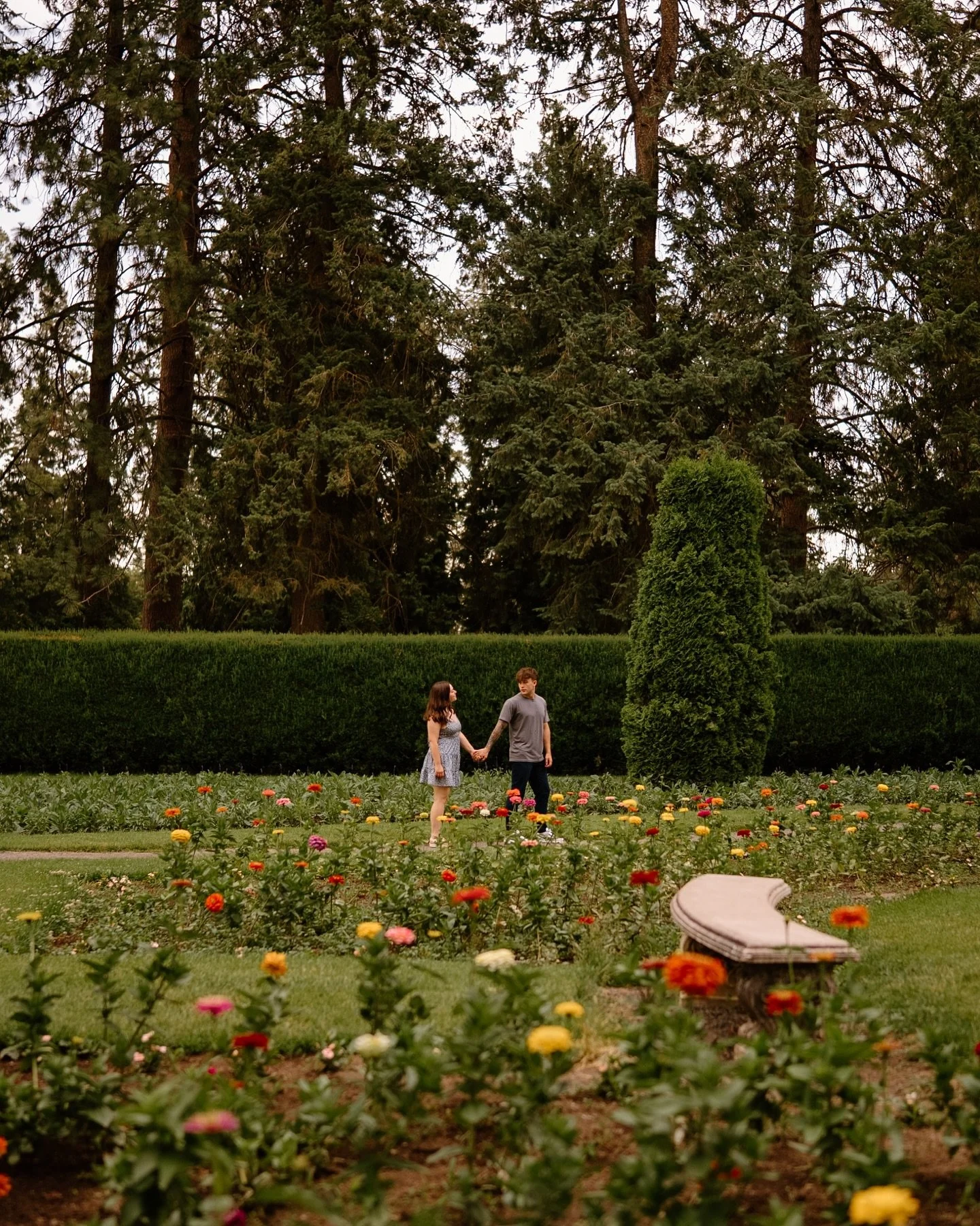 Huge lover of giant trees if you can&rsquo;t tell 🤍🌲

Finally sharing this summer session in Washington with the birthday girl @_trin.richardson_ 

One thing give learned this year is I love traveling (I mean who doesn&rsquo;t). Seeing new places h