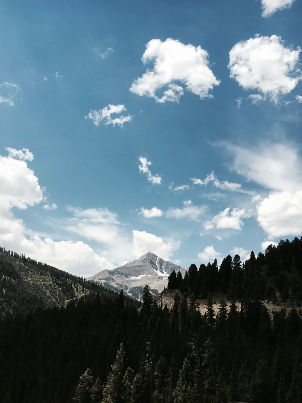A mountain landscape with a snow-capped peak in the distance, surrounded by forested hills, under a blue sky with scattered white clouds.