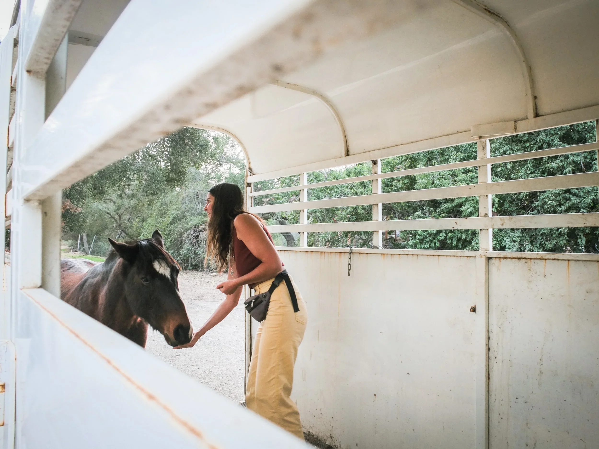 A woman reaches out her hand to pet a brown and black horse through the side of a horse trailer.