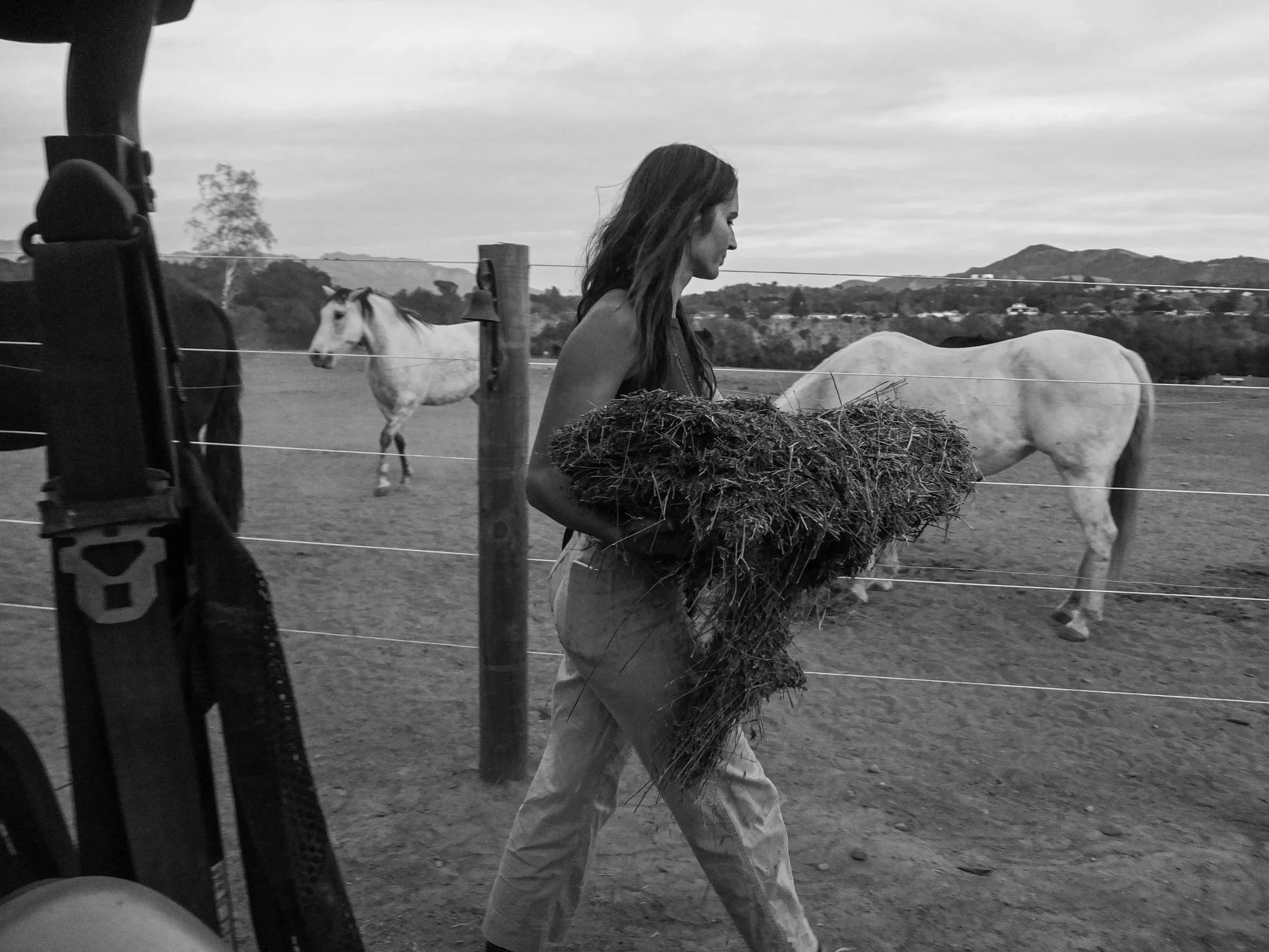A woman walking past a fence on a farm, holding a clump of hay, with horses grazing in the background.