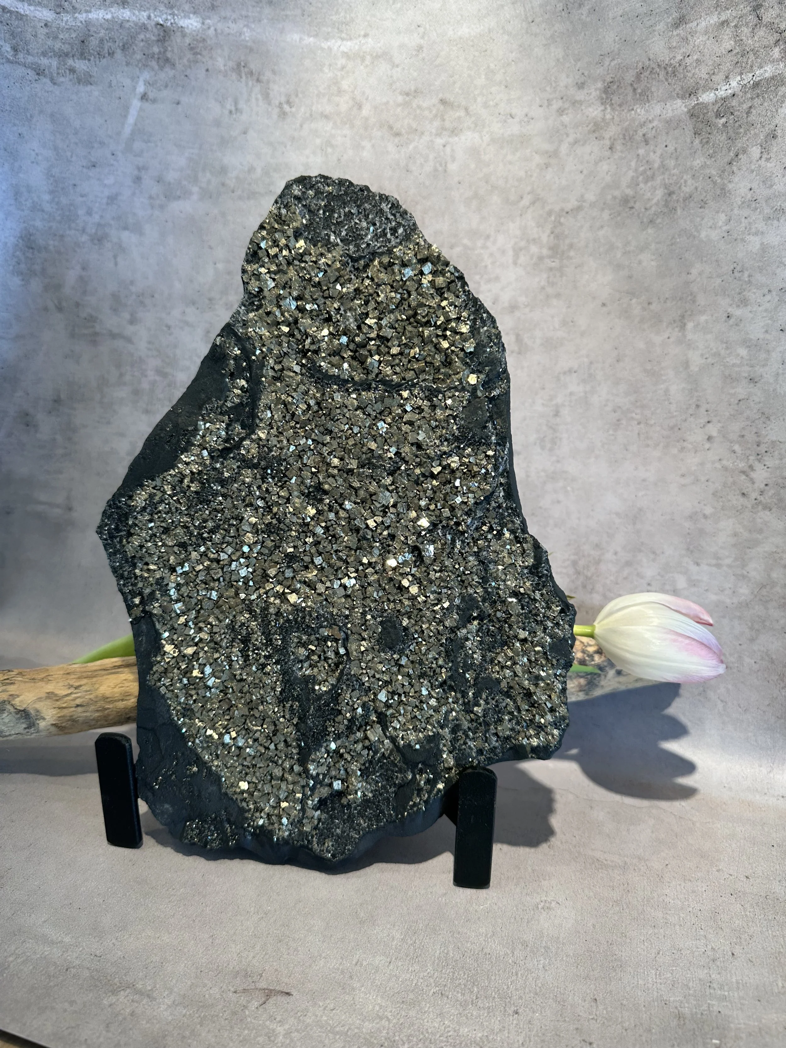 Belle plaque de Pyrite sur ardoise