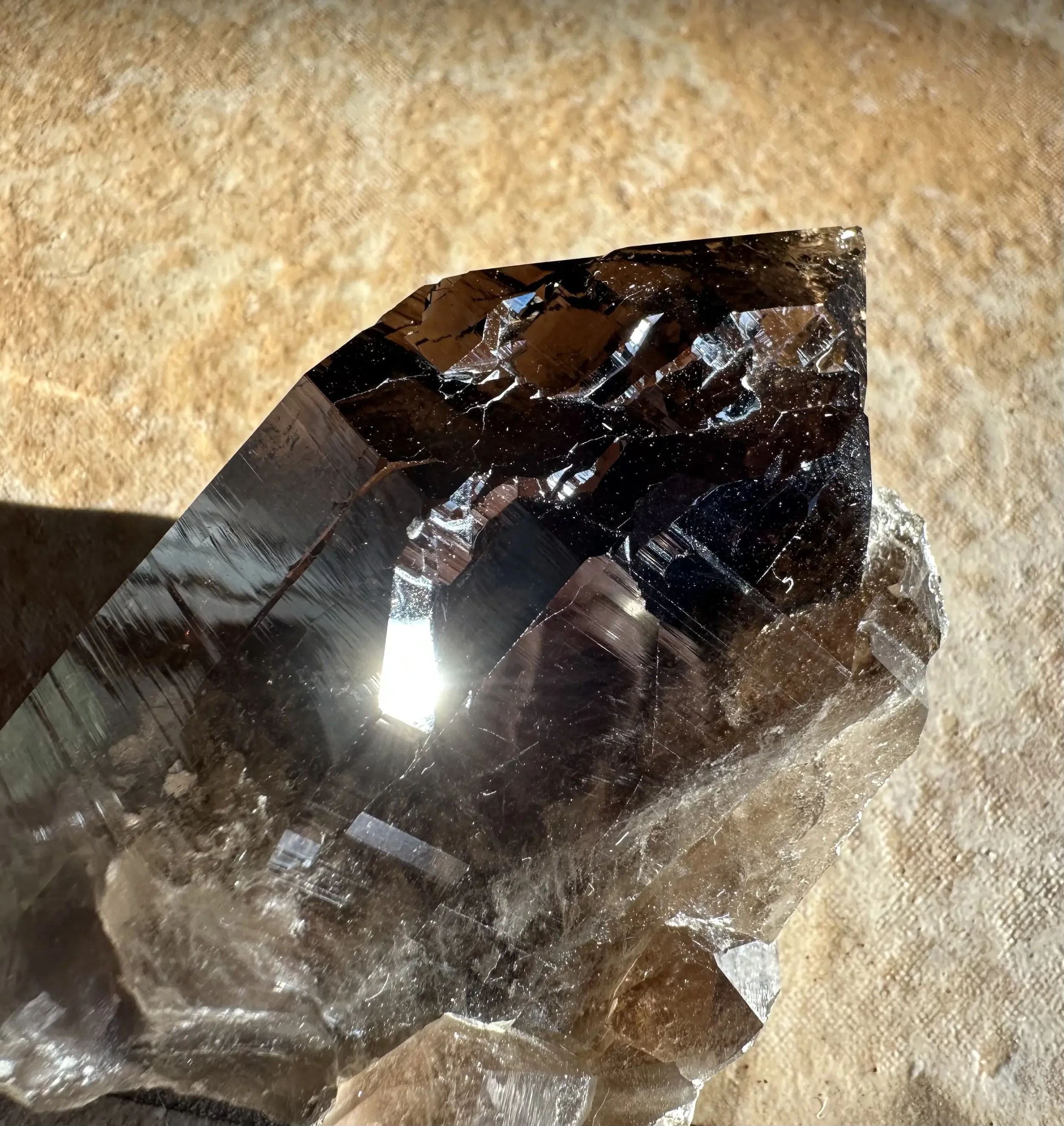 crystal black smoky morion