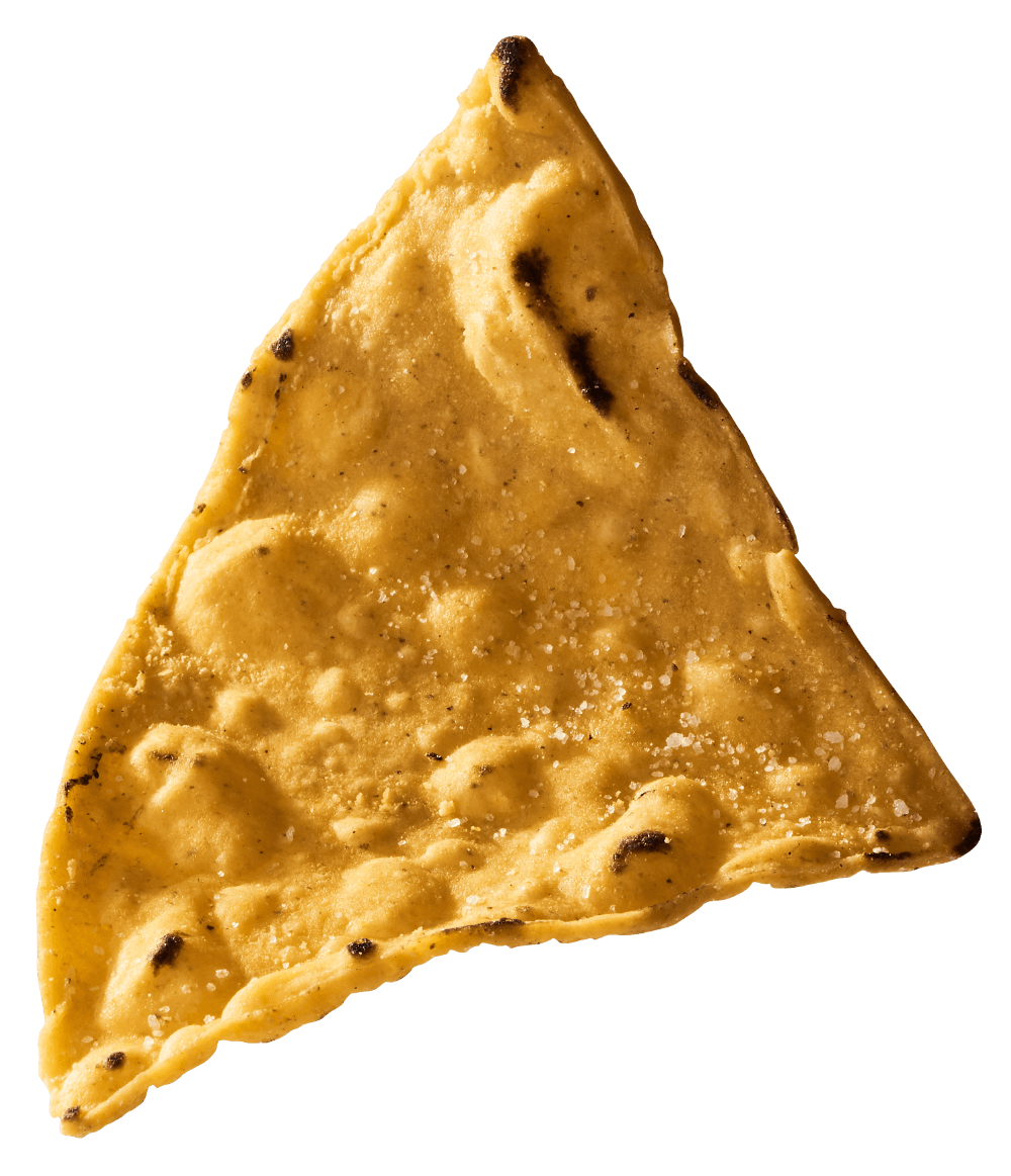Close-up of a triangular, lightly salted tortilla chip.