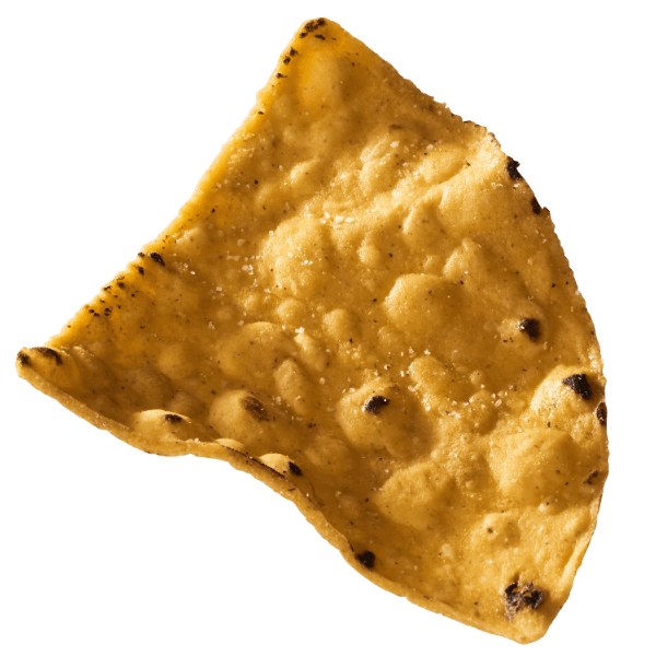 Close-up of a single piece of tortilla chip.