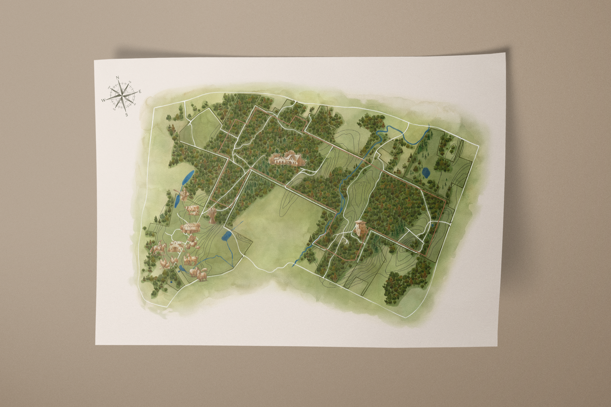 FF-Map_Illstration_Mockup_011624.png