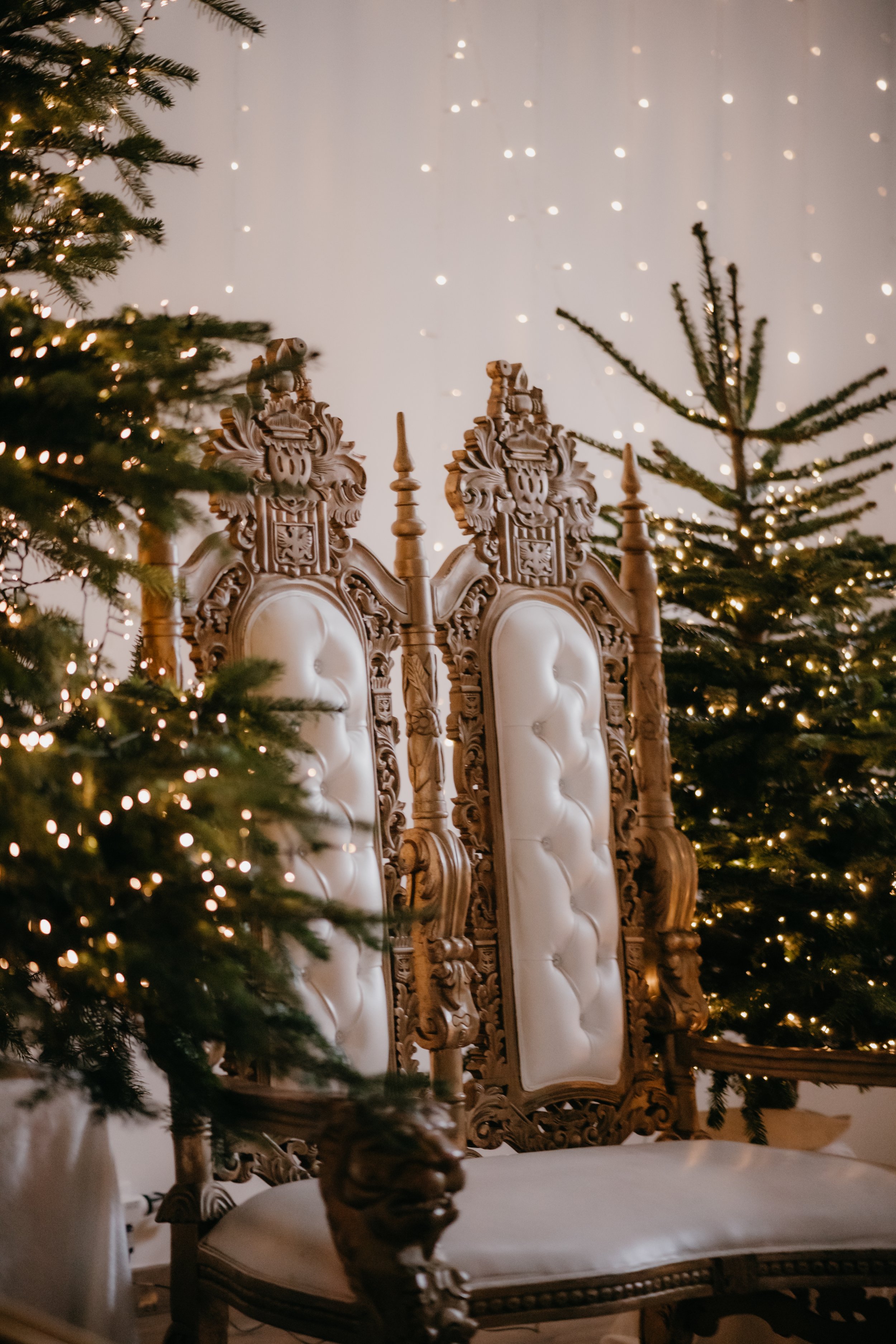 Préparatifs - 2 (14).jpg