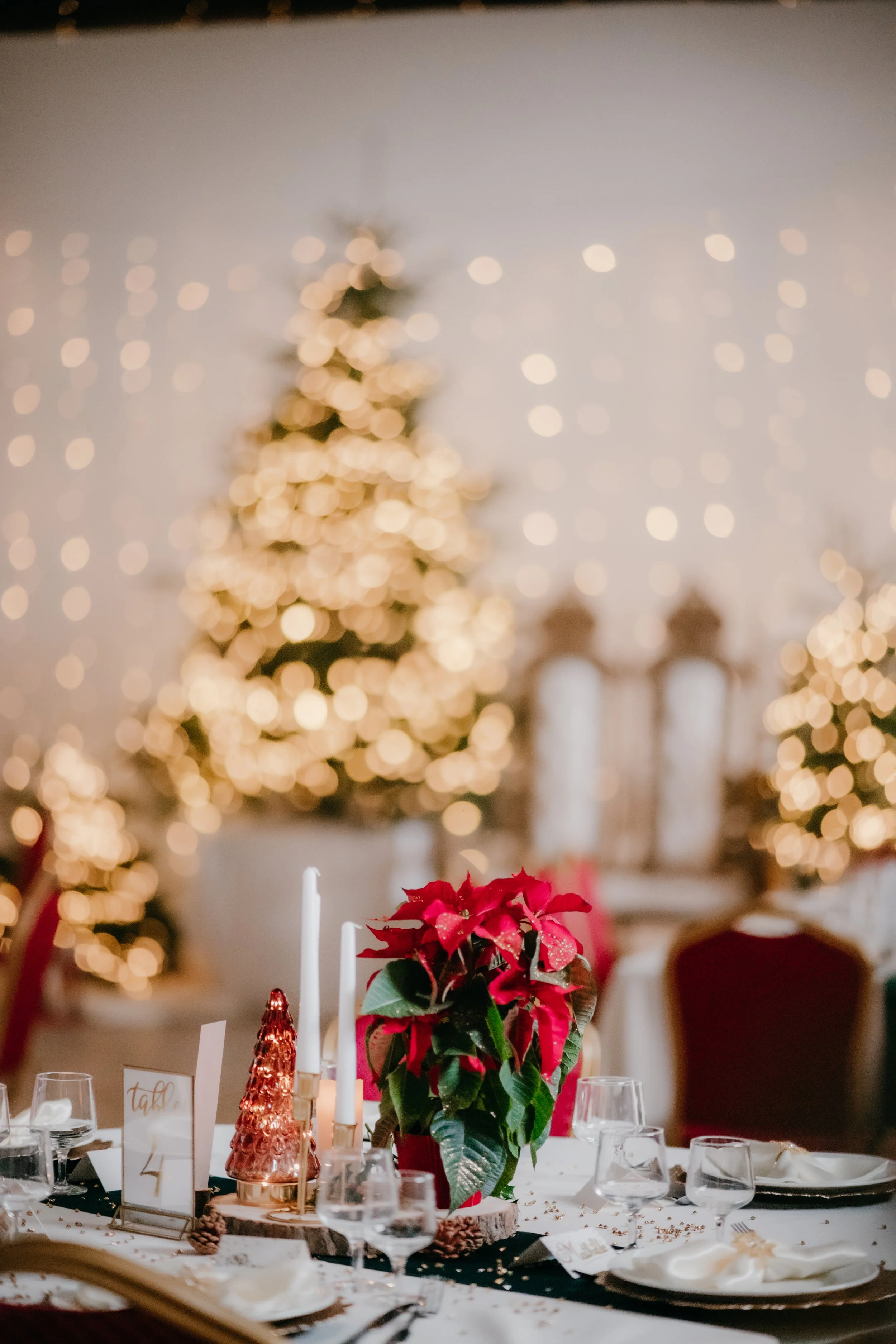 Préparatifs - 2 (36).jpg