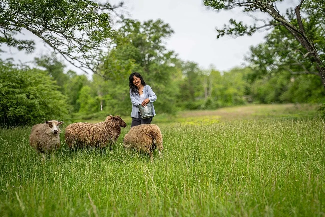 1757710970-anne-choi-in-field-with-sheep.jpg.jpeg