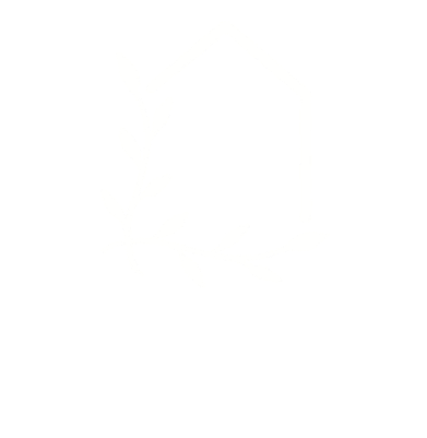 Home Watch Experts