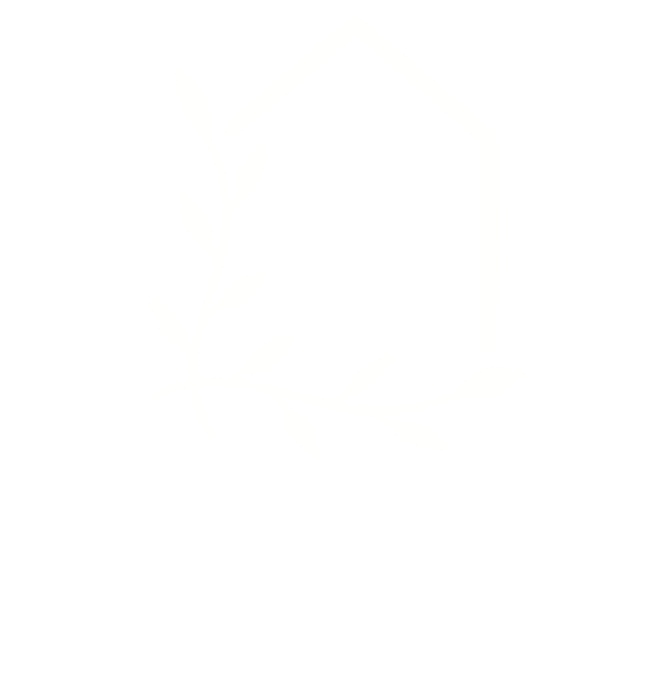 Home Watch Experts
