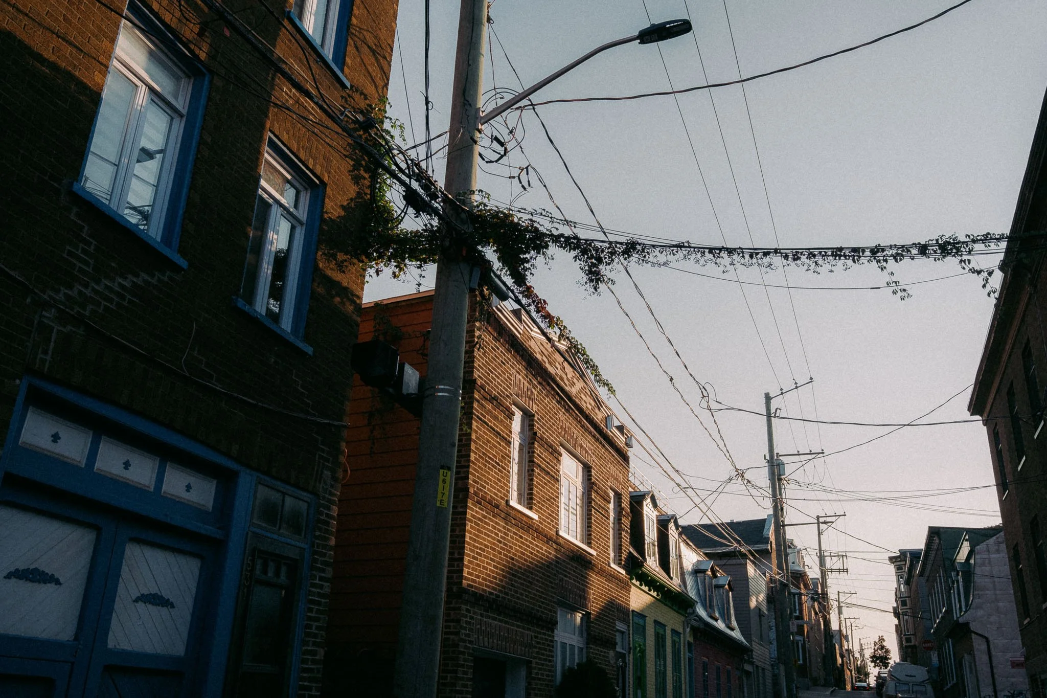 _DSF0547-PRINT.jpg