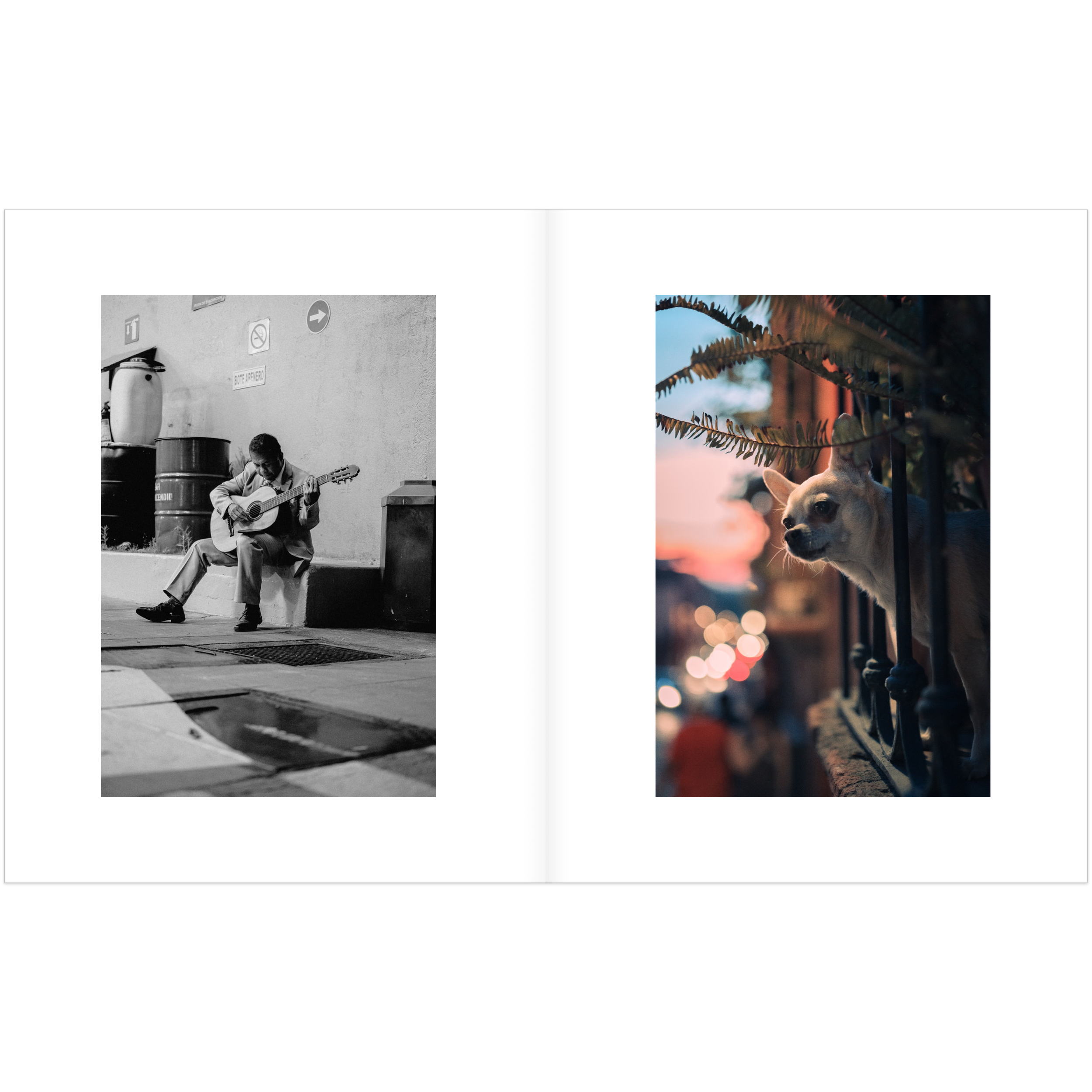 instant-pdf-P17447461-16.png