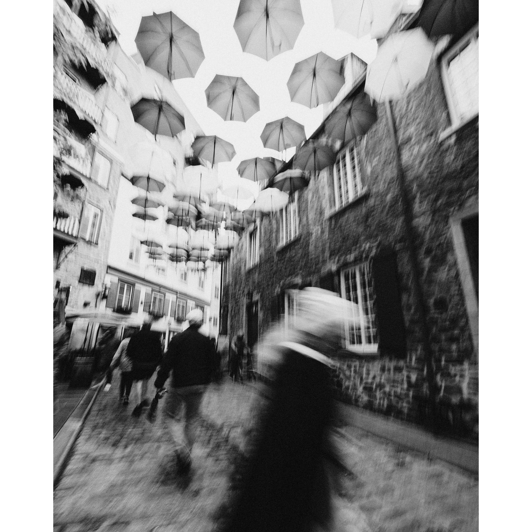 Sous les parapluies