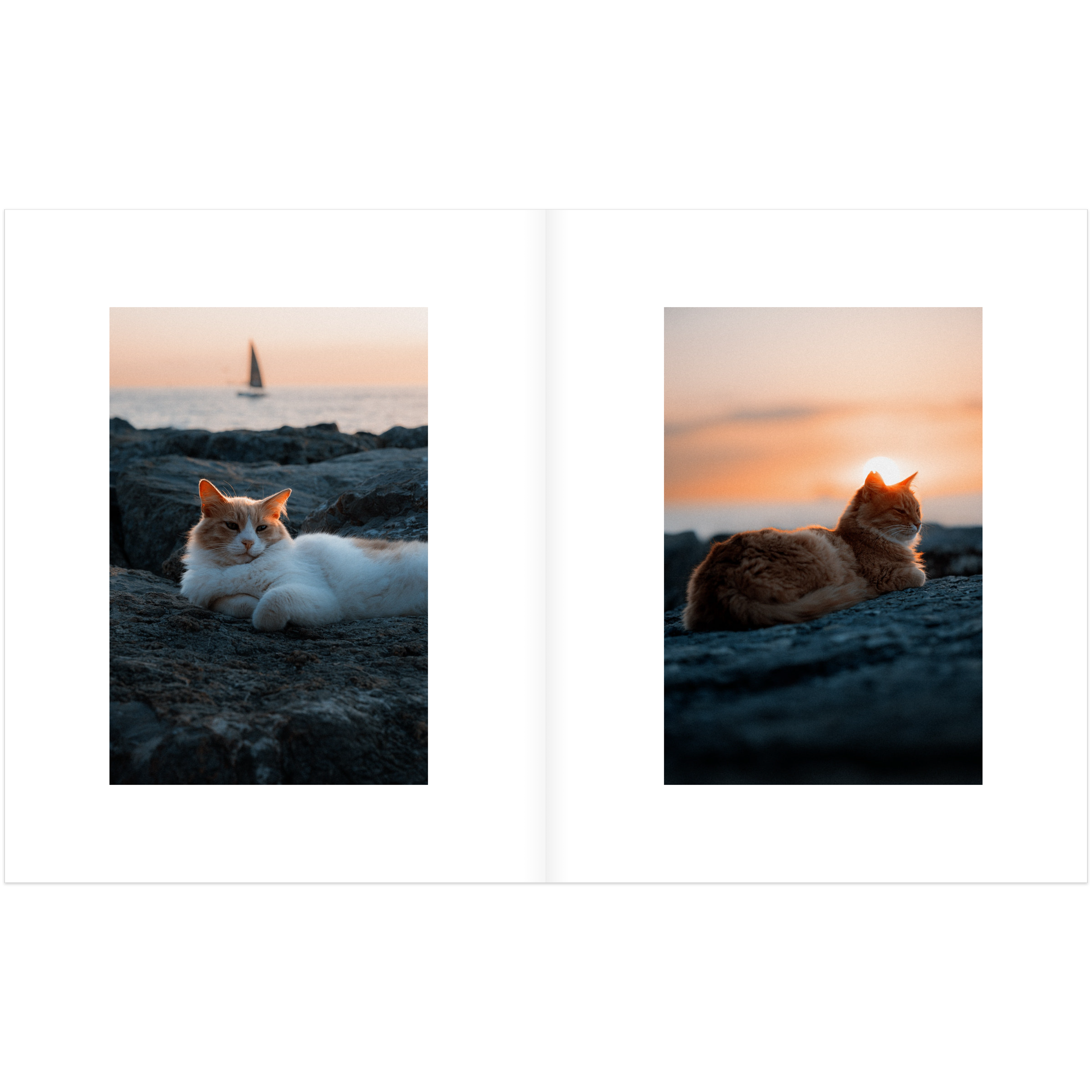 instant-pdf-P17741606-36.png
