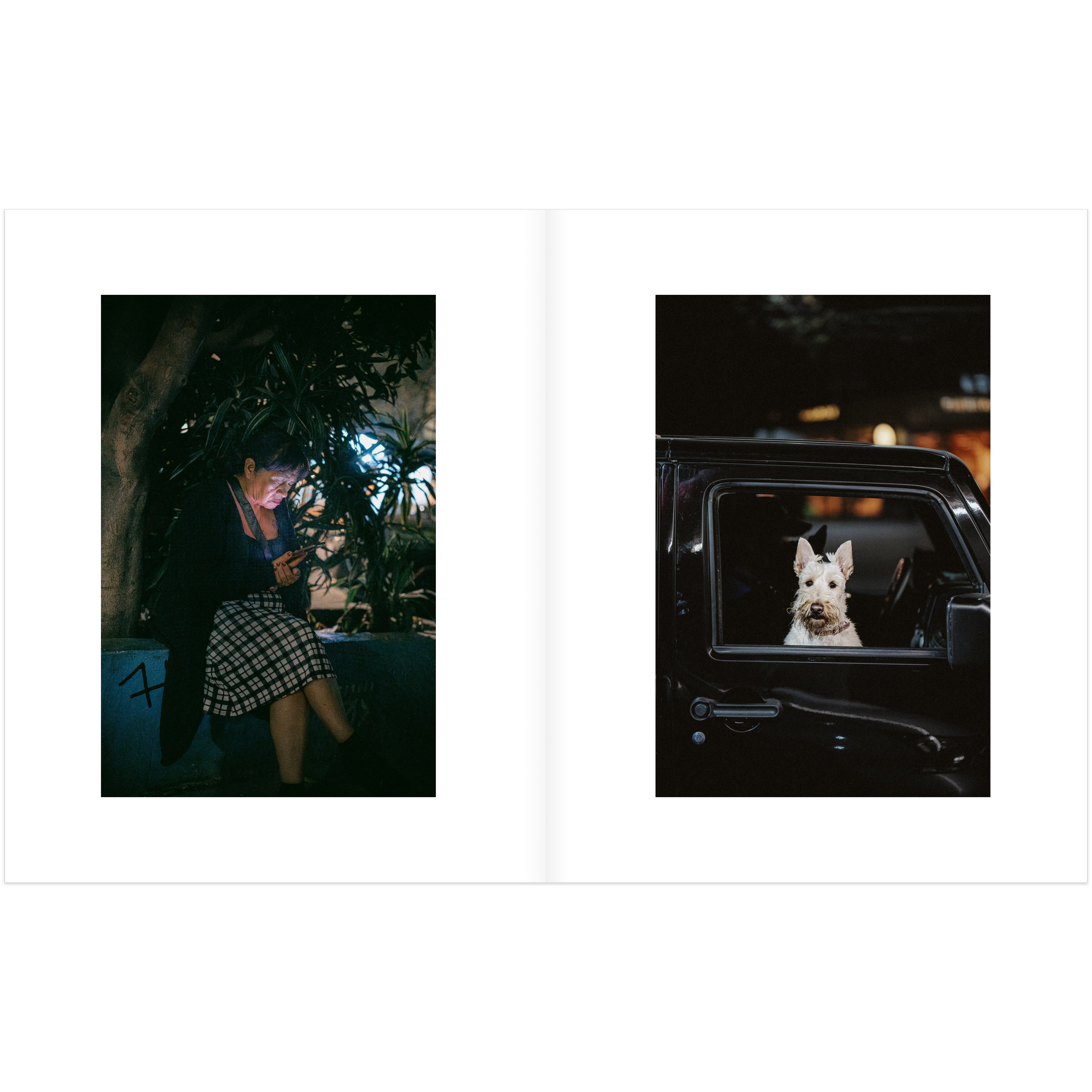 instant-pdf-P17447461-22.png