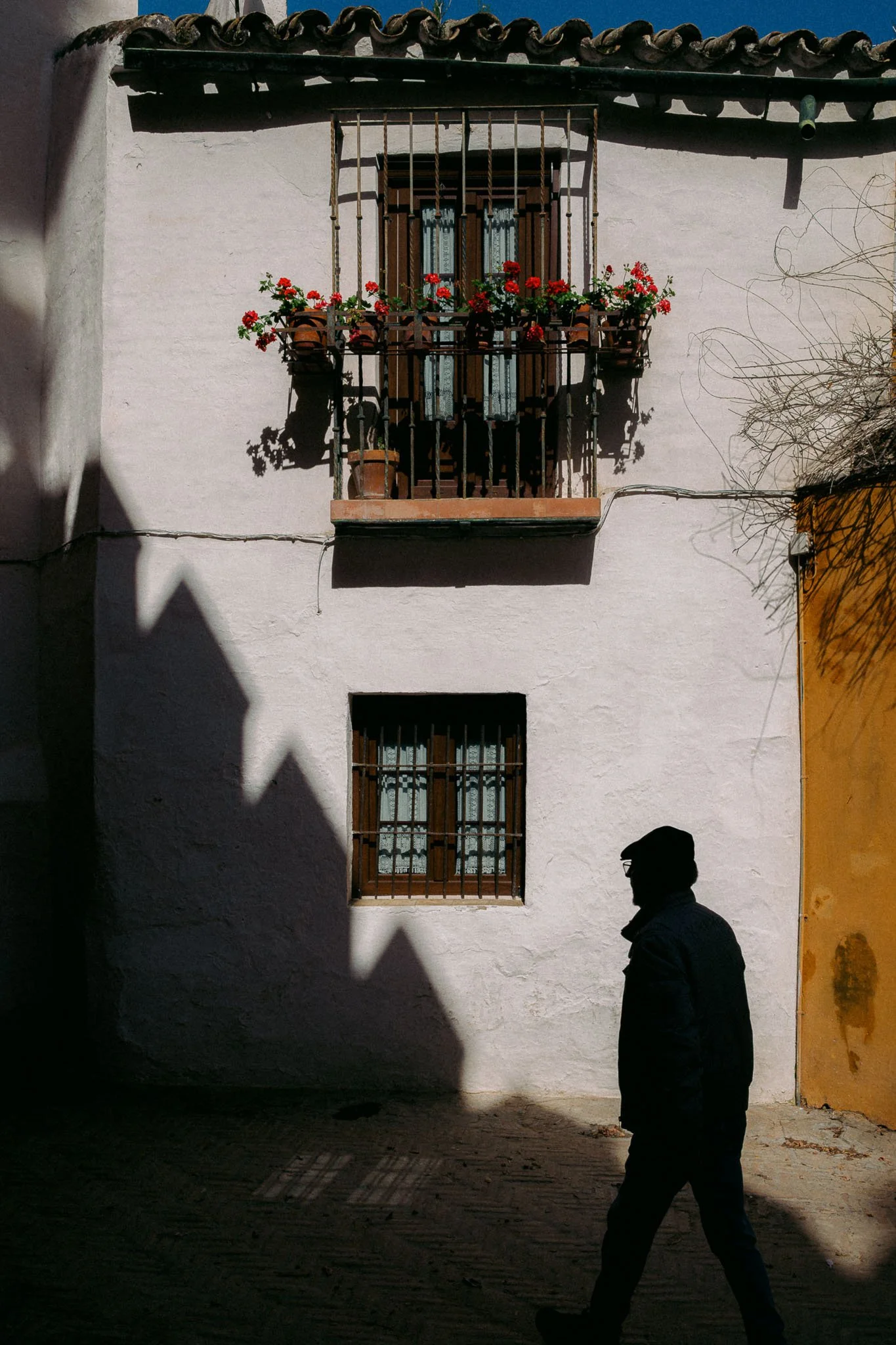 _DSF6758-PRINT.jpg