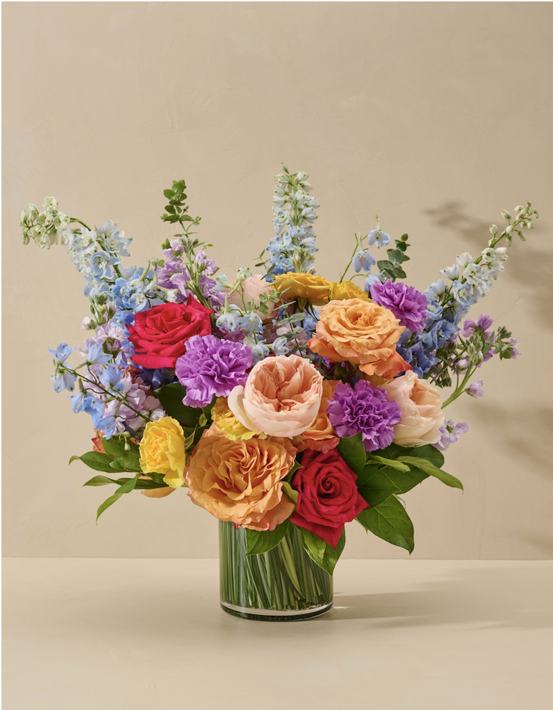 Screenshot 2026-01-28 at 3.03.54 PM.png