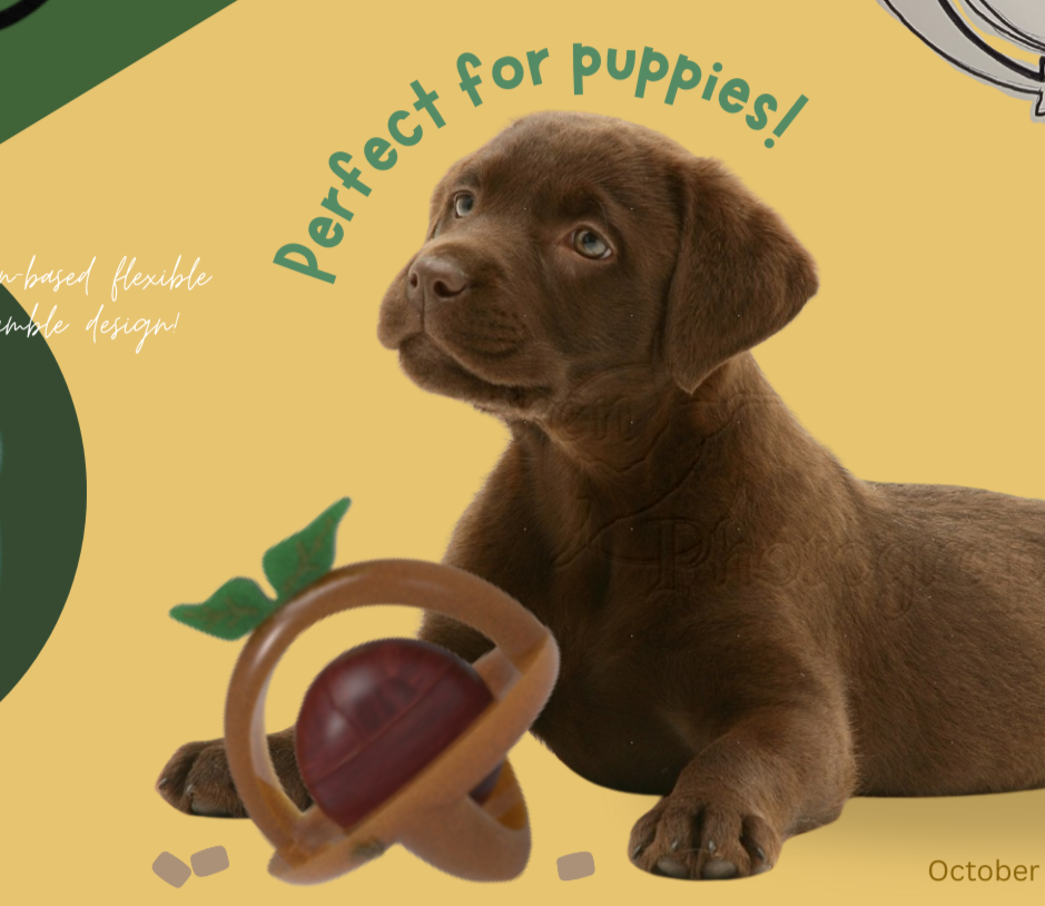 Brightly Eco concept Dog Toy