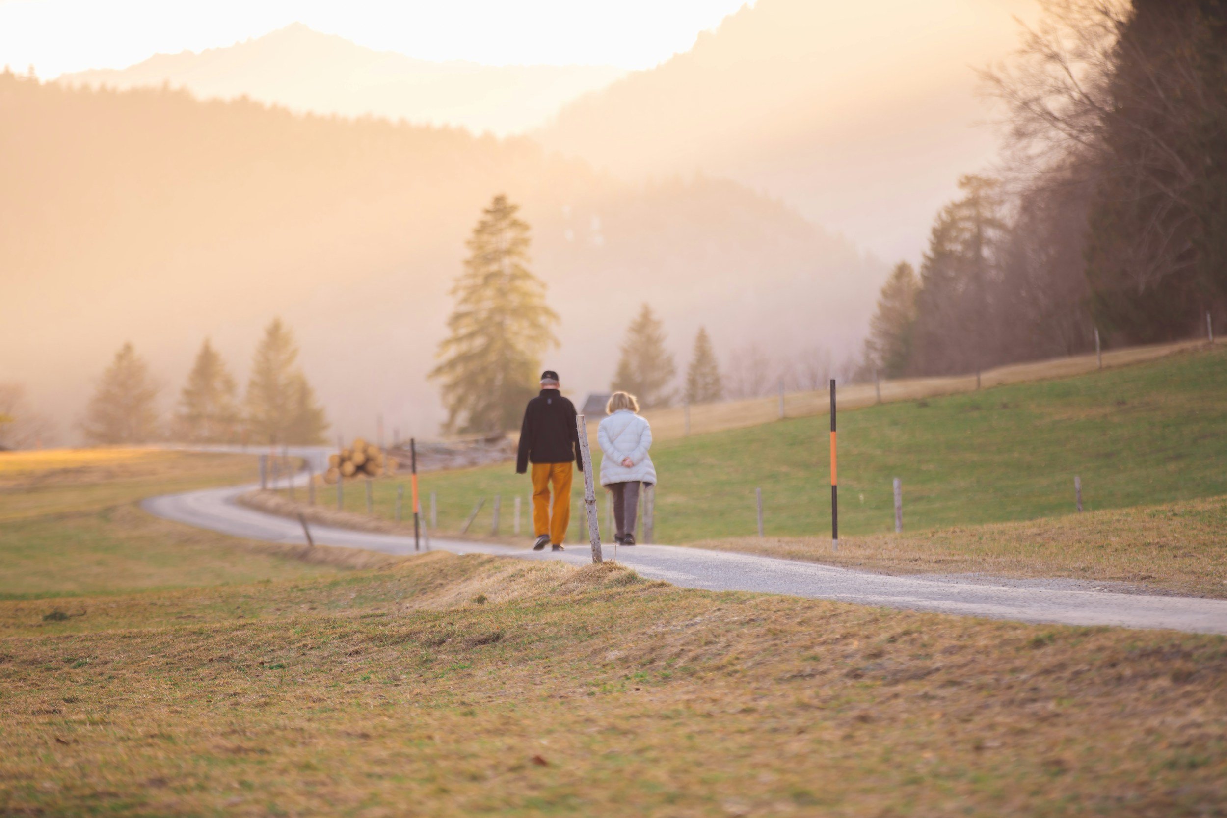 Two people walking on a winding country road with trees in the background during sunrise or sunset.