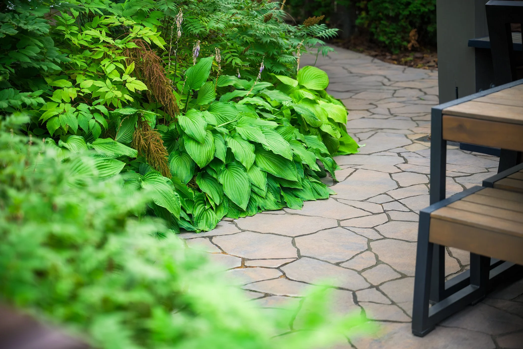 Stone patio with lush green plants and a wooden and metal chair on a garden or outdoor patio.