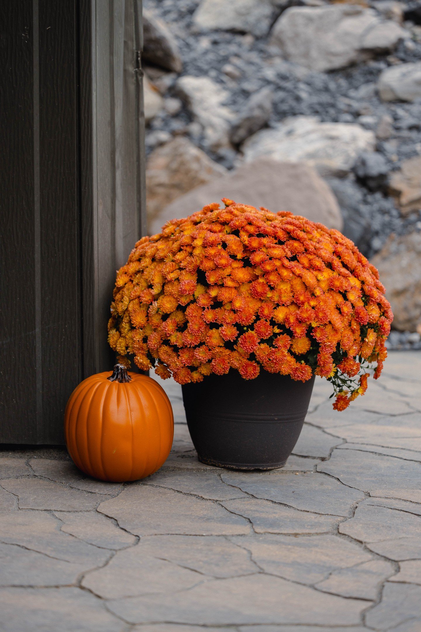 Transform Your Patio Every Season
From vibrant summer accents to cozy fall decor, seasonal patio decor can turn your outdoor space into an inviting, functional, and beautiful extension of your home. Let Blue Isle Landscaping help you design a patio t
