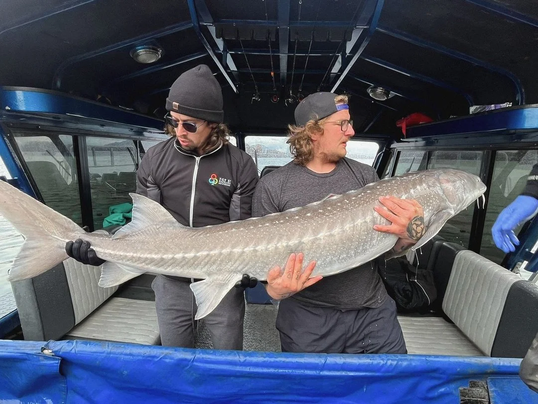 This is Austin, our operations manager and Dave&rsquo;s right-hand man. From overseeing day-to-day operations to keeping everything running smoothly on-site, Austin plays a huge role in making sure every project is a success.

His dedication, leaders