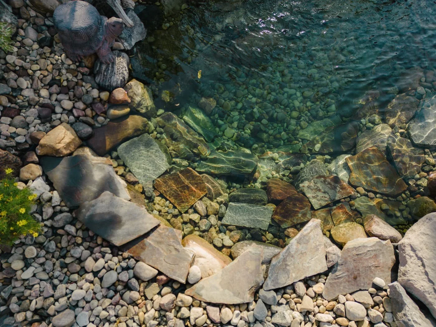Looking down into a clear pond with a natural flagstone border 