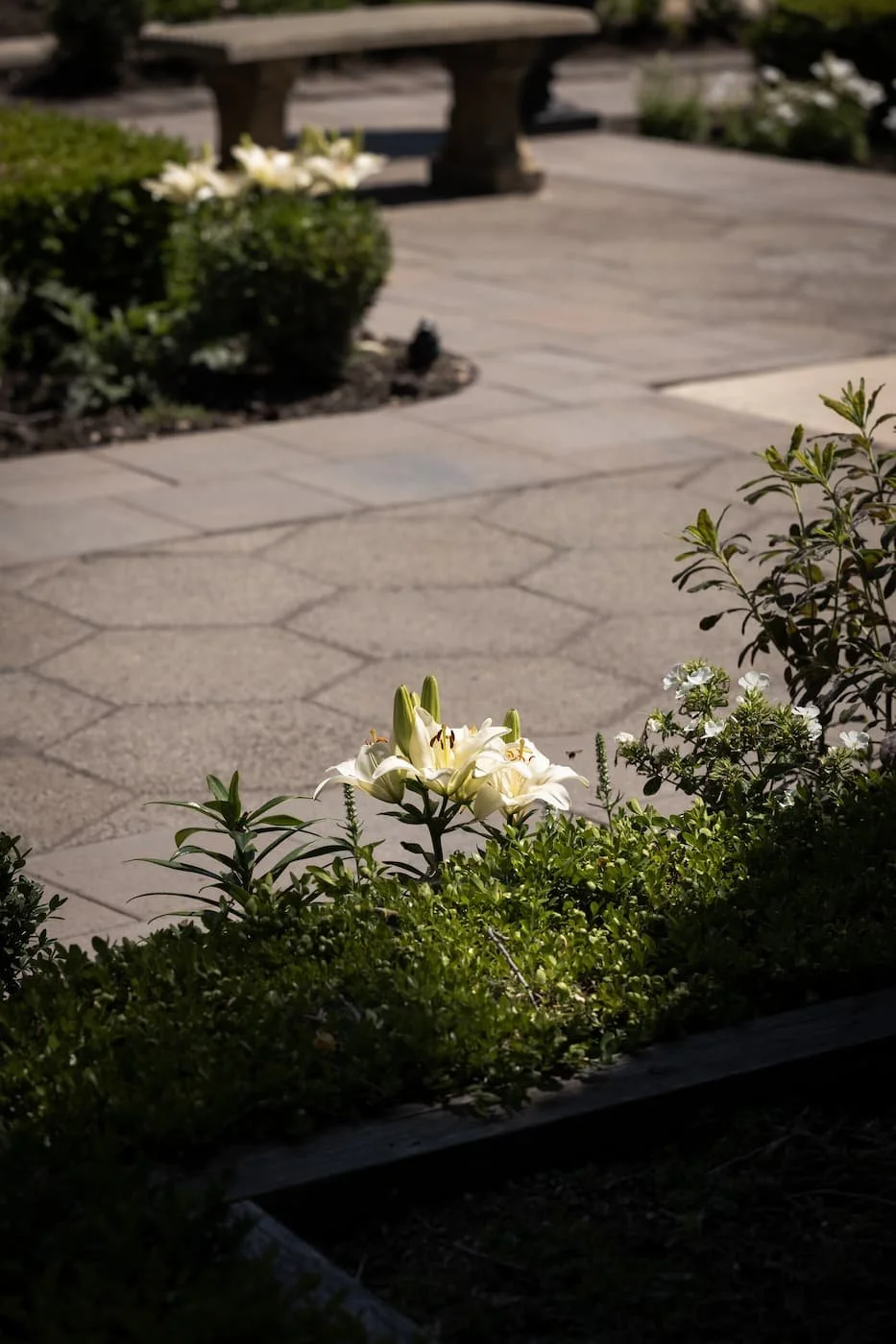 Hexagon and Champlain Grey paving stones