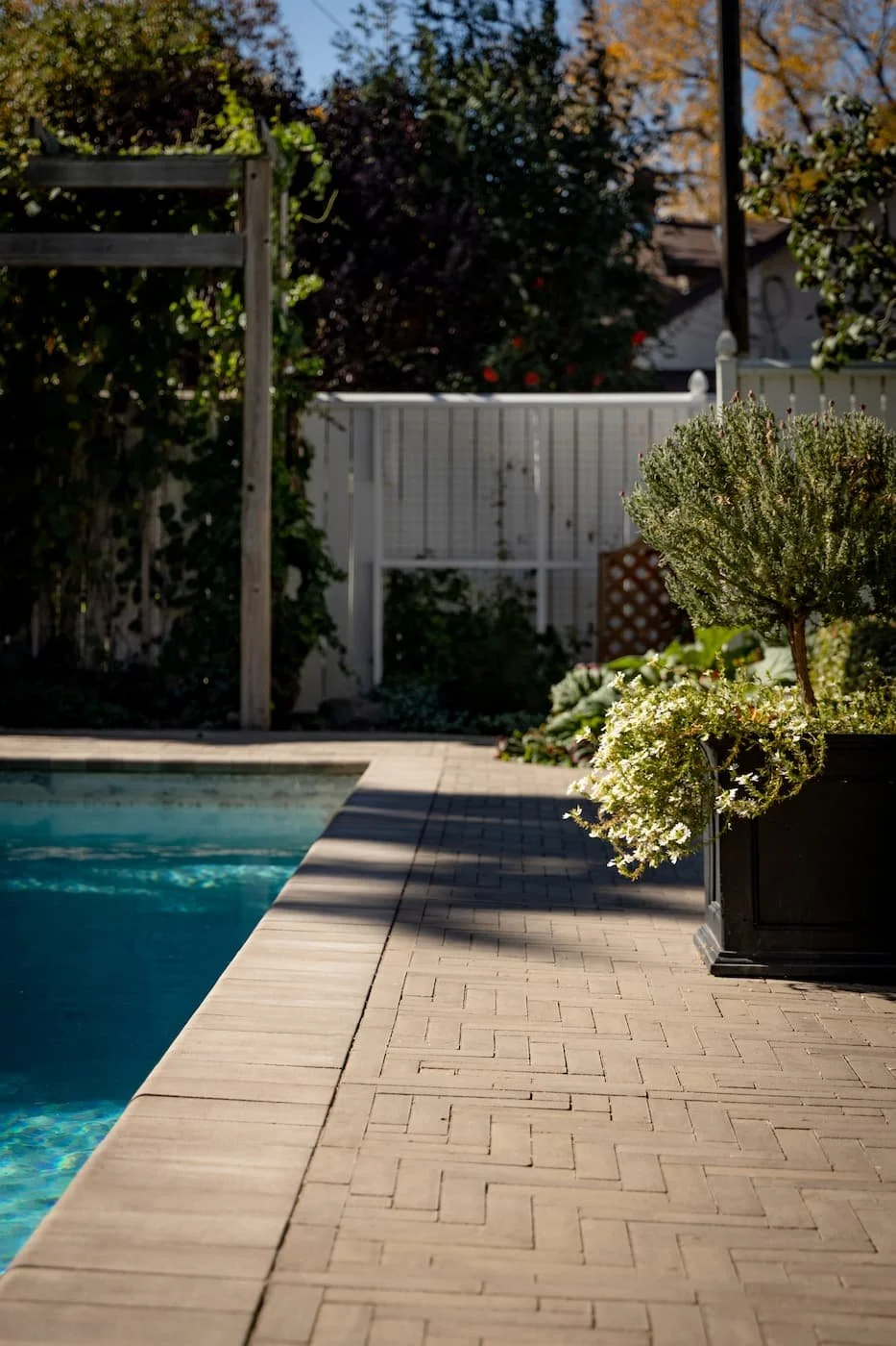 Pool coping and deck in chestnut brown