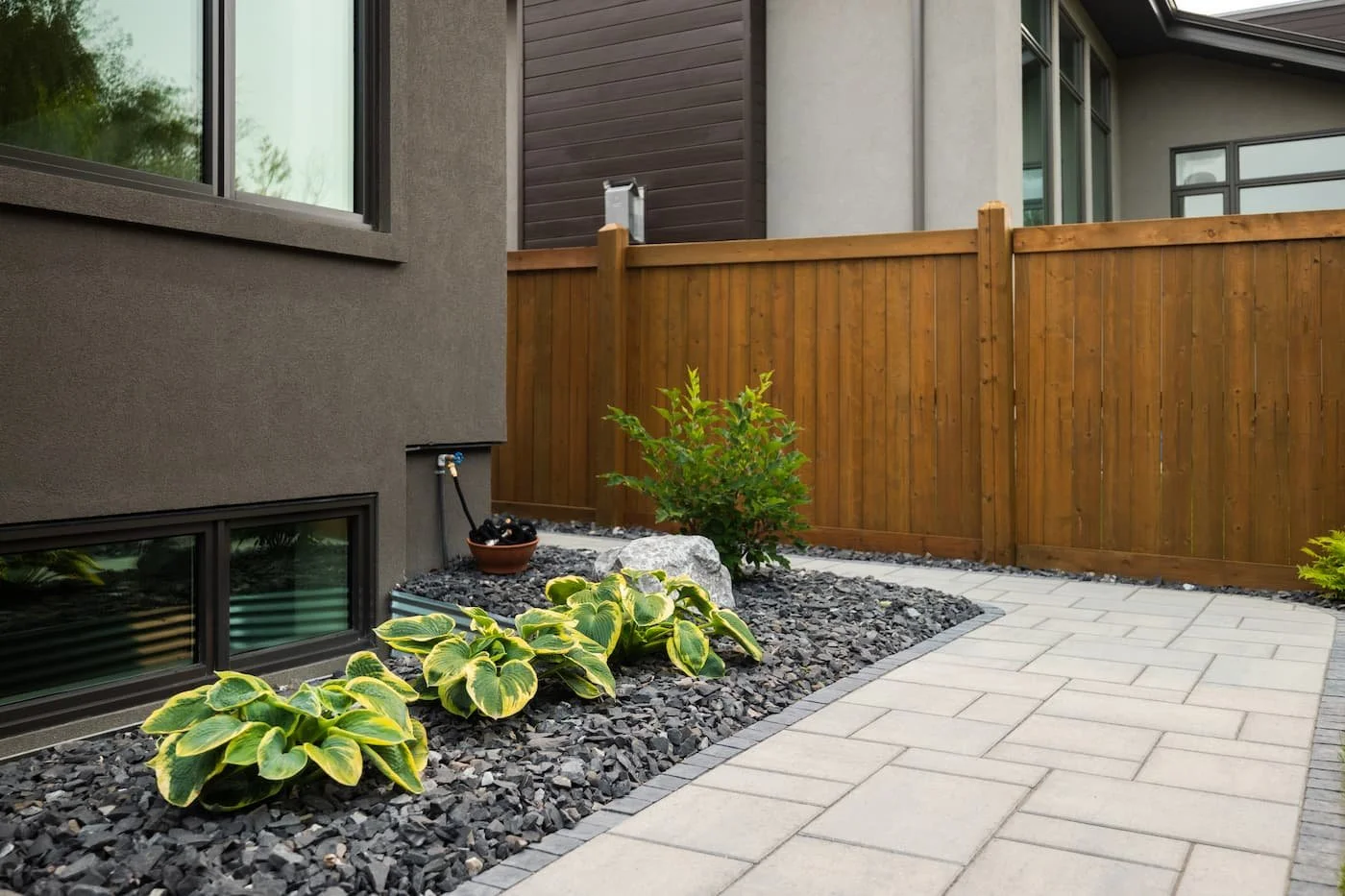 Beautiful hosta plants next to a window well and paving stone pathway