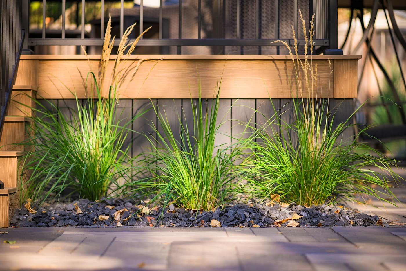 Feather Reed grass and rundle rock in a landscaped back yard
