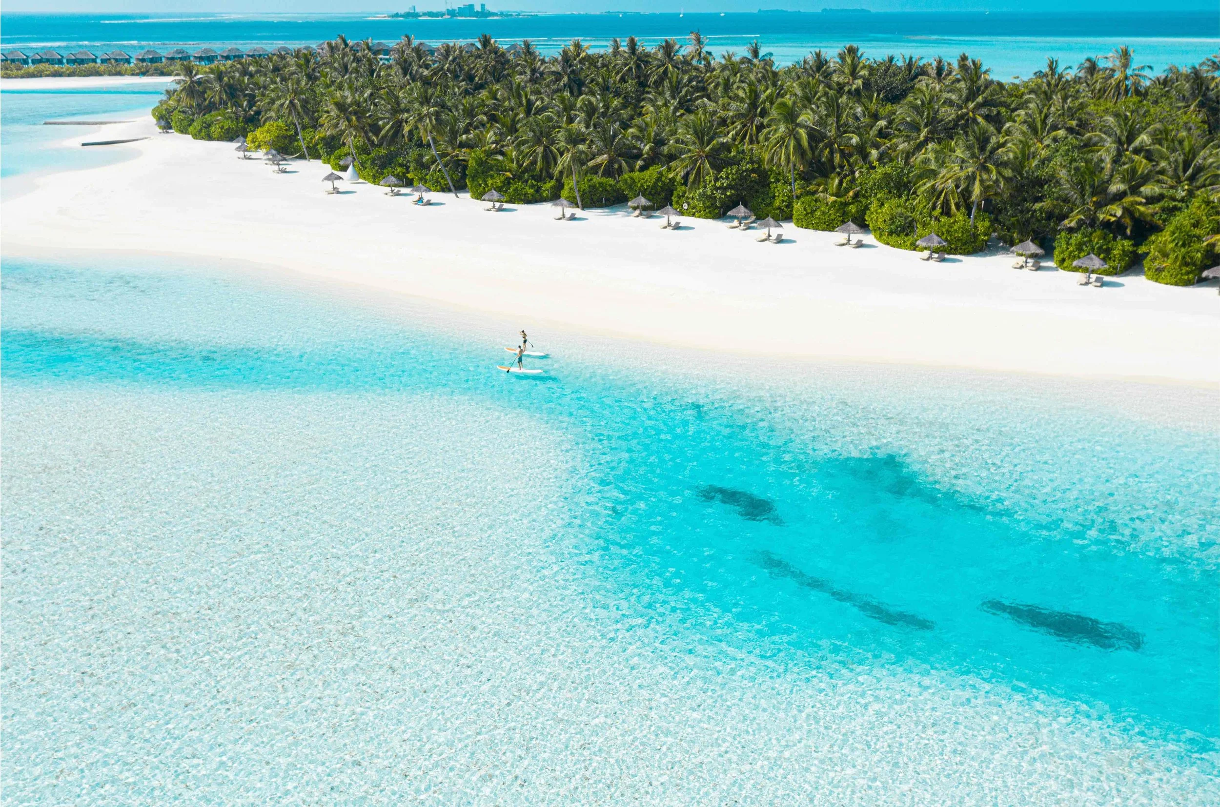 ELEVATE AERIAL SHOTS