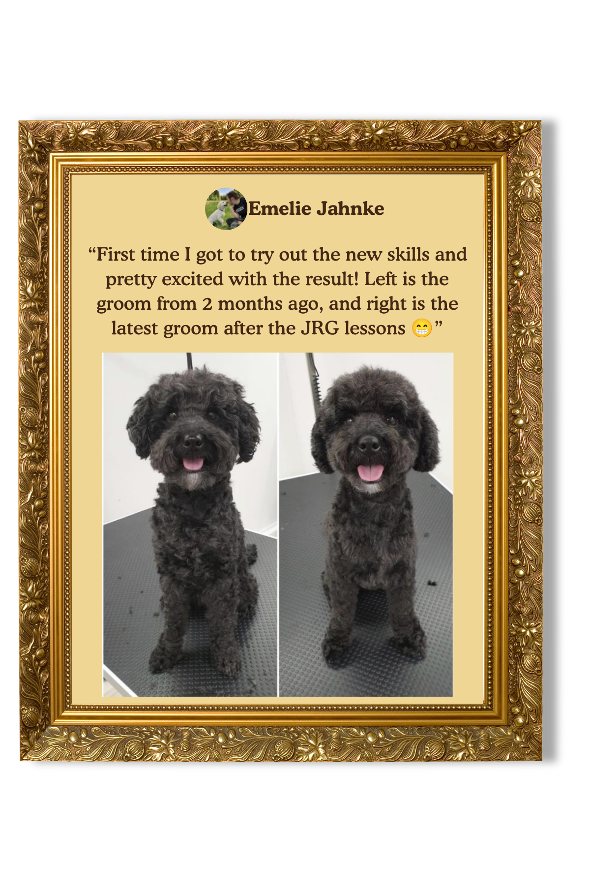 Side-by-side photos of a black poodle before and after grooming, framed in an ornate gold frame. The dog looks happy and well-groomed in both photos.