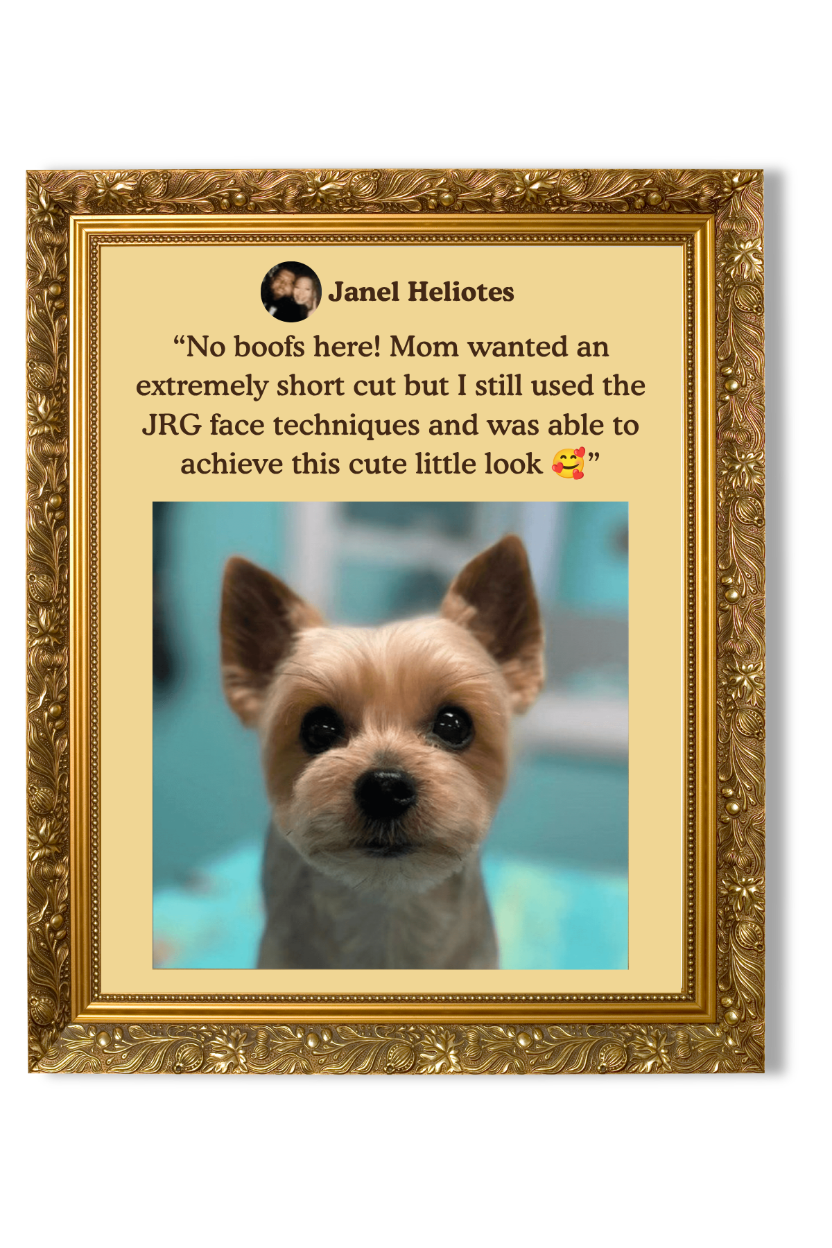 A framed photo of a cute dog with large dark eyes, a small nose, and light brown fur on its face and ears, looking directly at the camera.