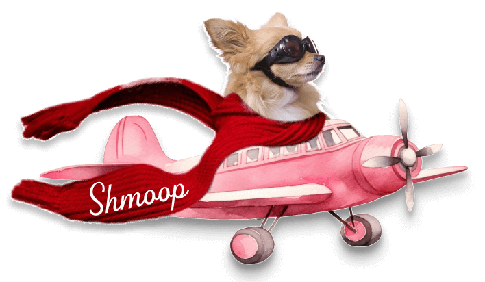 A dog wearing sunglasses sitting in a pink toy airplane with a red scarf that has the word "Smoop" on it.